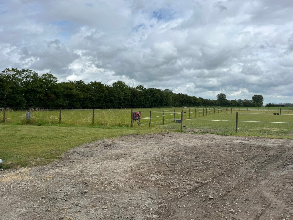 Paardenstallen met weidegang en paddock, Dieren en Toebehoren, Stalling en Weidegang, Weidegang, 4 paarden of pony's of meer