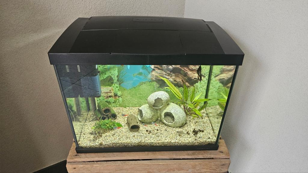 Superfish Aquarium Start 50 39L, Dieren en Toebehoren, Vissen | Aquaria en Toebehoren, Ophalen of Verzenden, Zo goed als nieuw