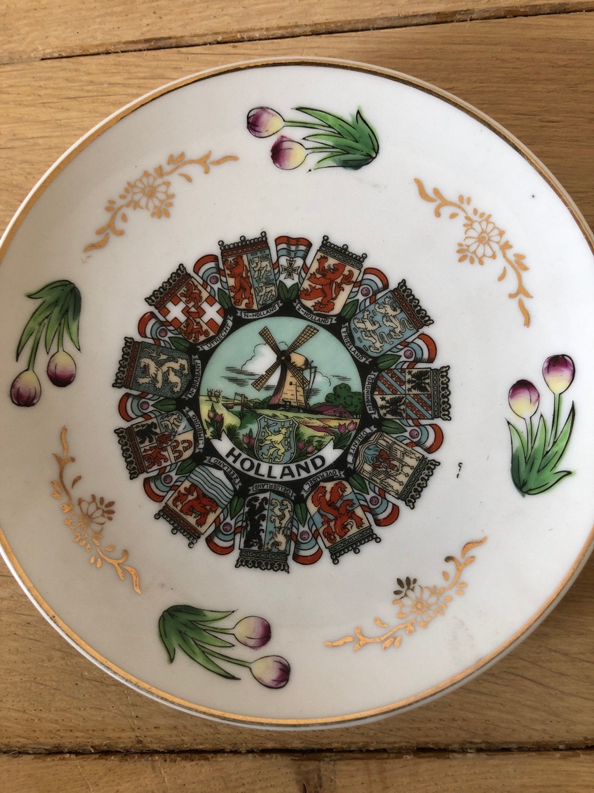 Vintage Holland Souvenir Bordje met Molen en Tulpen, Ophalen of Verzenden