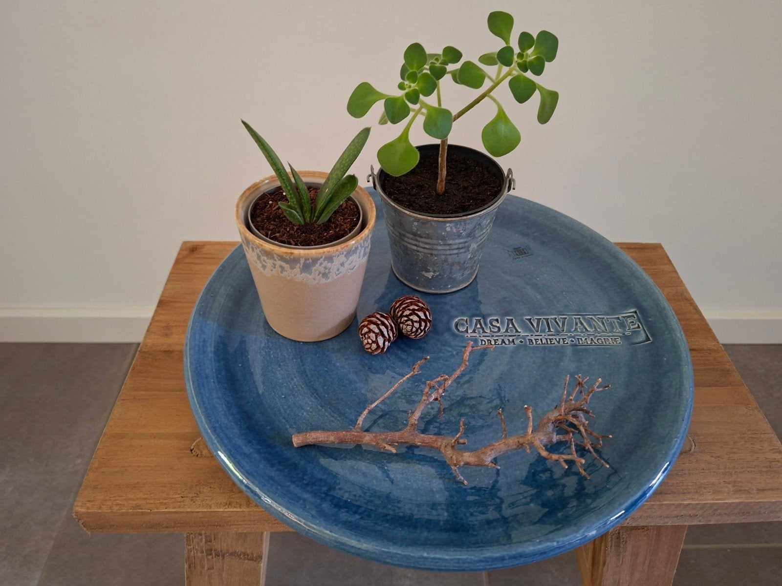Planten decoratie set, met Tree of love plant en Gasteria, Huis en Inrichting, Ophalen, Halfschaduw, Minder dan 100 cm