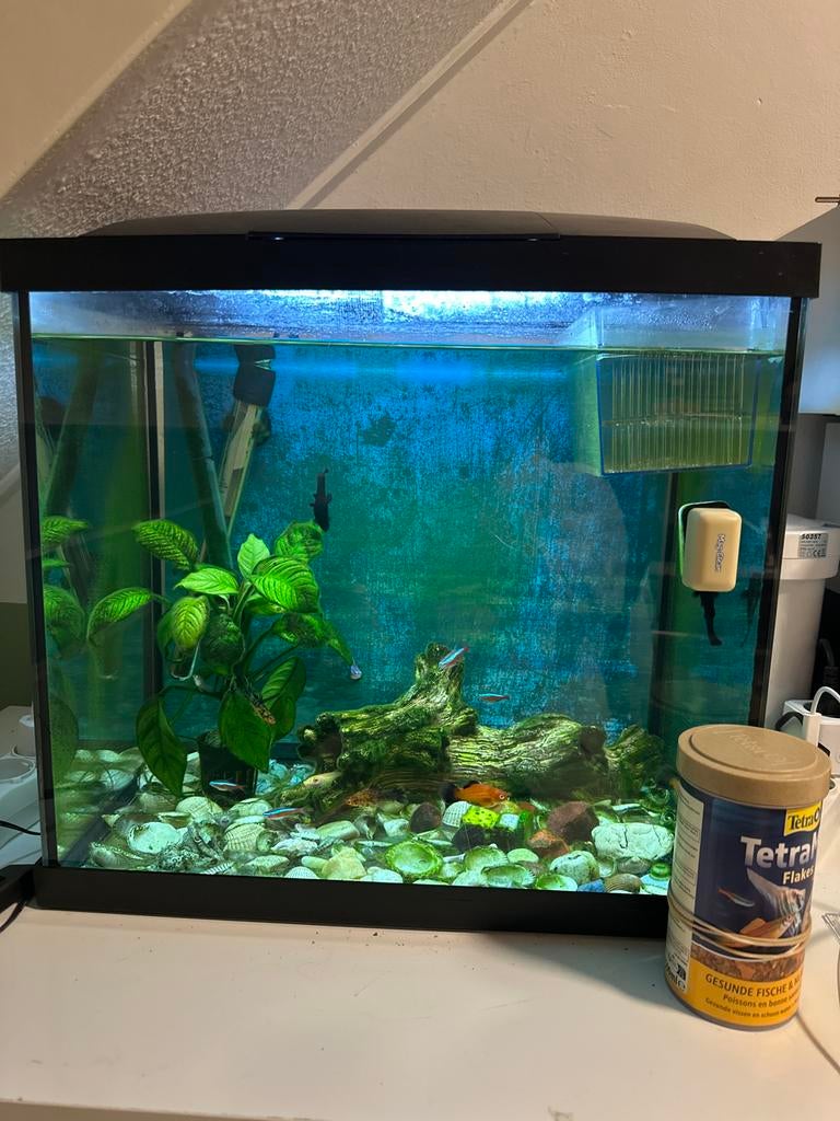 Aquarium full, Dieren en Toebehoren, Ophalen of Verzenden, Zo goed als nieuw