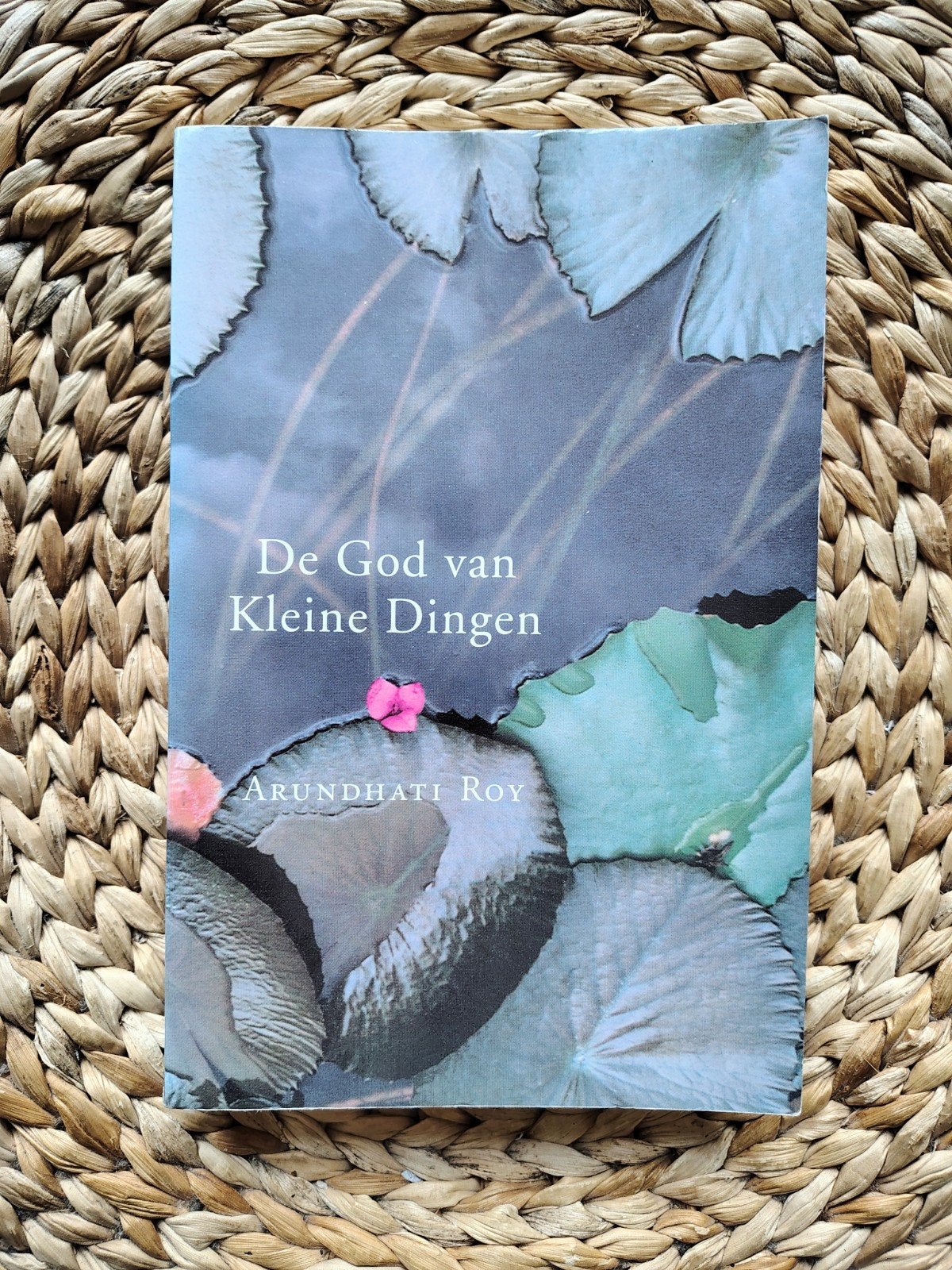 Arundhati Roy - De God van Kleine Dingen, Ophalen of Verzenden