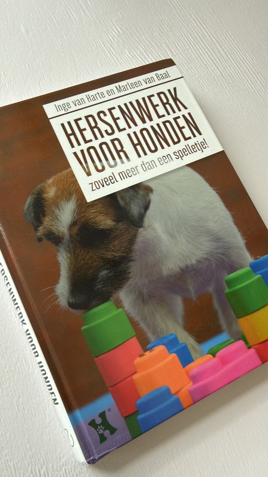 Hersenwerk voor honden, Ophalen of Verzenden, Zo goed als nieuw, Honden