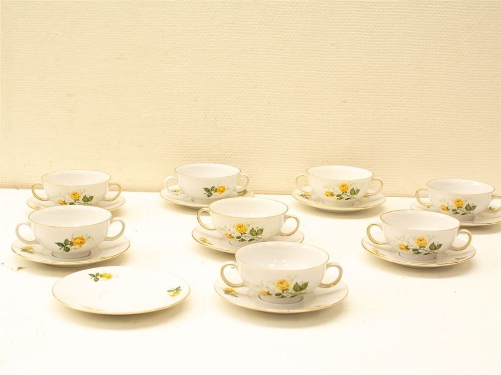 17 leftmann weiden bavaria kop en schotels 32799, Gebruikt, Ophalen of Verzenden, Bord(en), Wedgwood