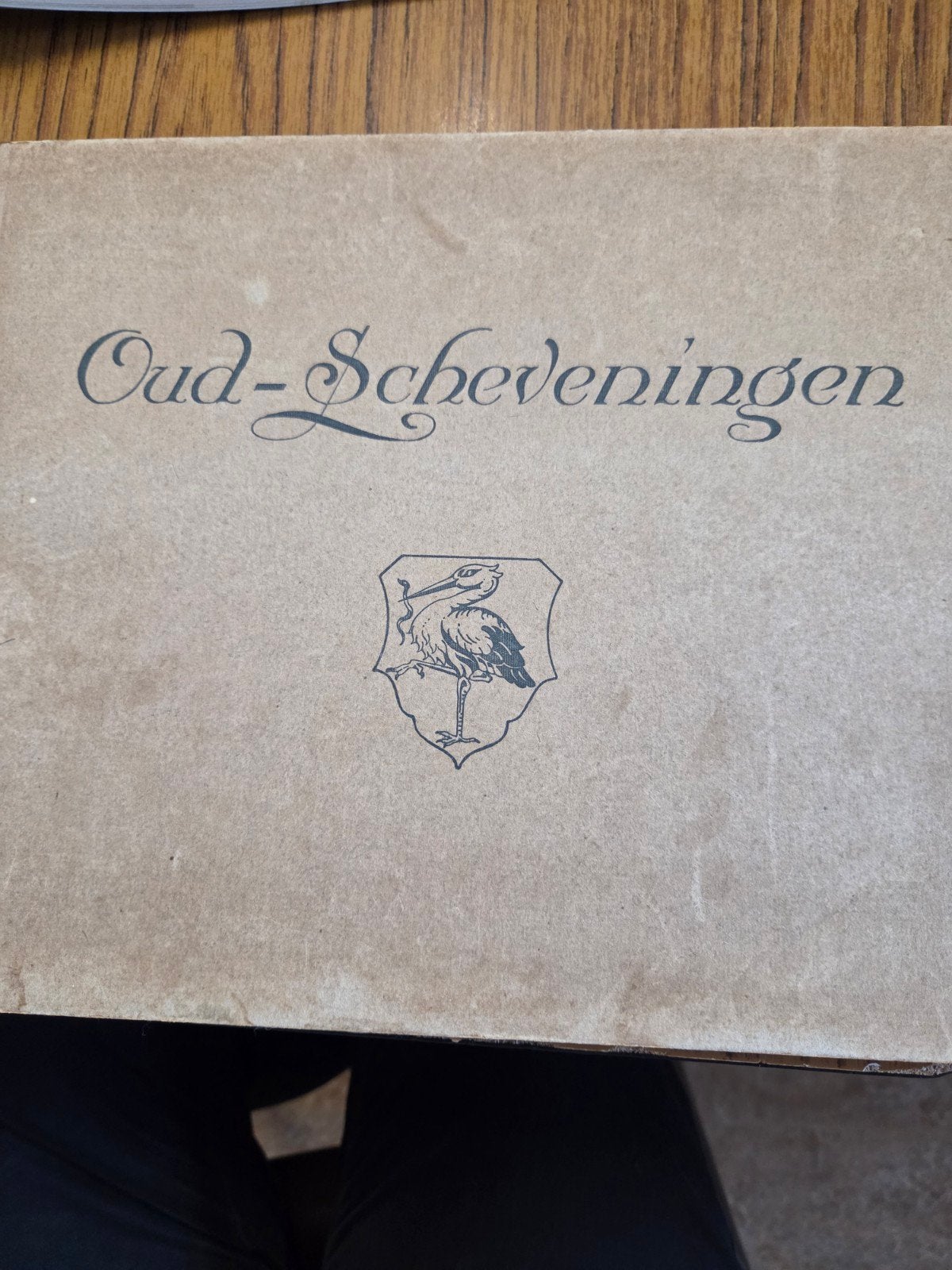 Oud Scheveningen, Ophalen of Verzenden, Gelezen