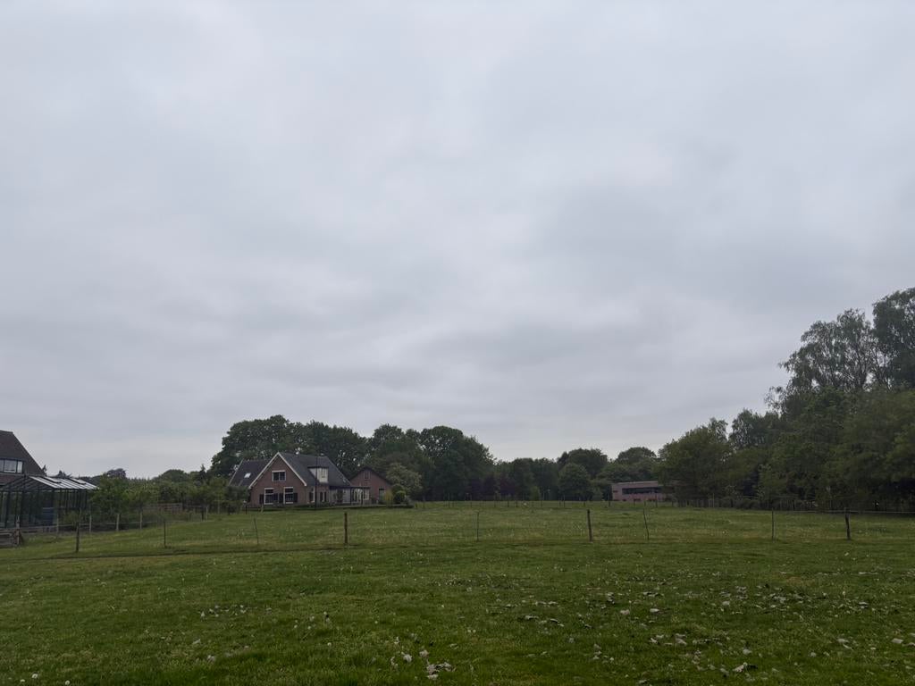 Weidegang met schuilstal Loenen, Dieren en Toebehoren, Weidegang, 1 paard of pony
