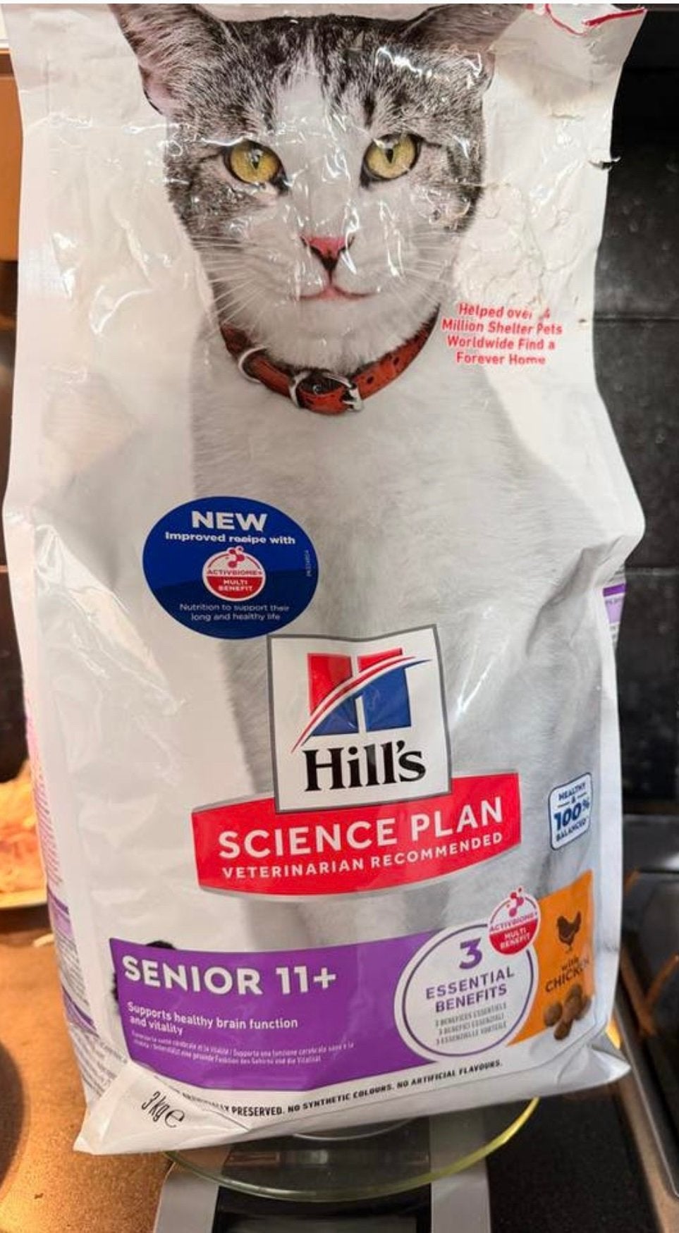 Hills Science Plan droogvoer 11+, Ophalen of Verzenden, Kat