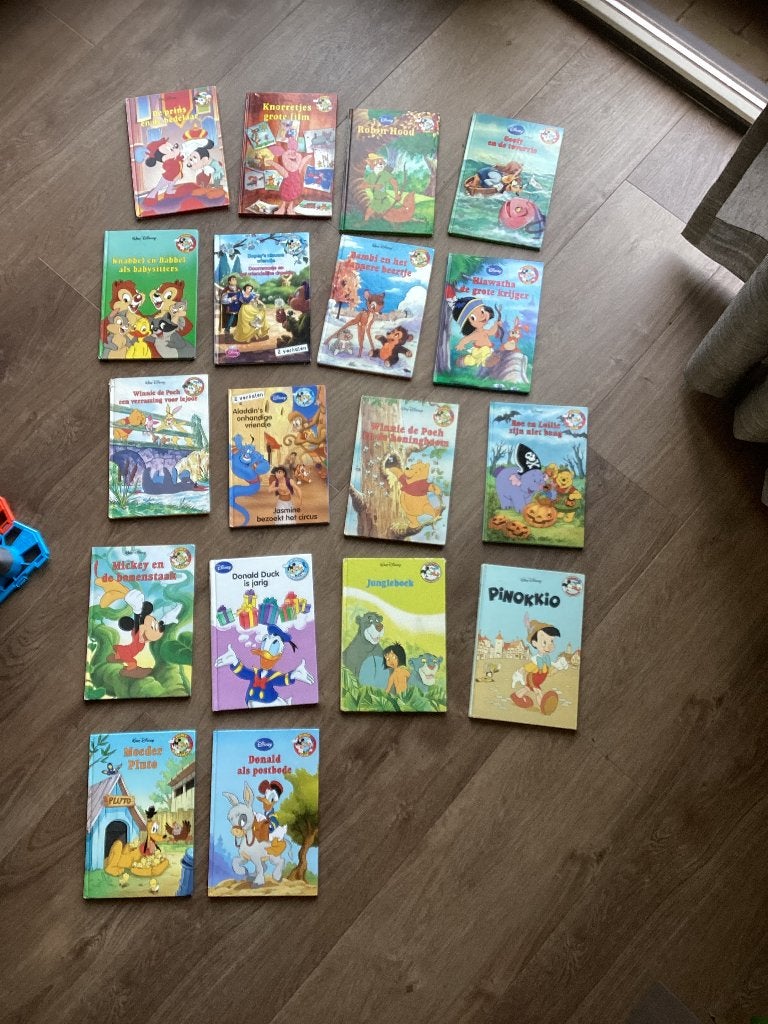 Disney club boeken, Ophalen of Verzenden, Gelezen, Fictie algemeen
