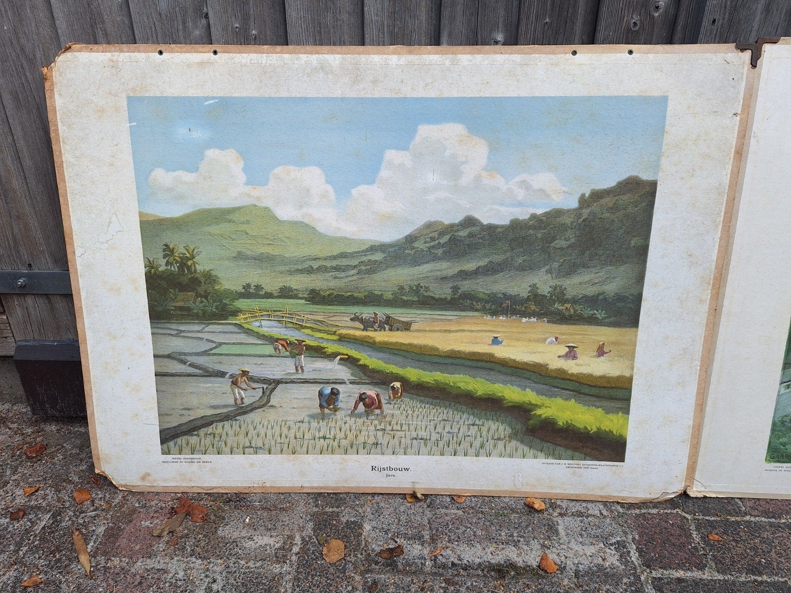 Oude schoolplaten jaren '60 Rijstbouw Java en Rhônegletsjer, Antiek en Kunst, Antiek | Schoolplaten, Ophalen of Verzenden