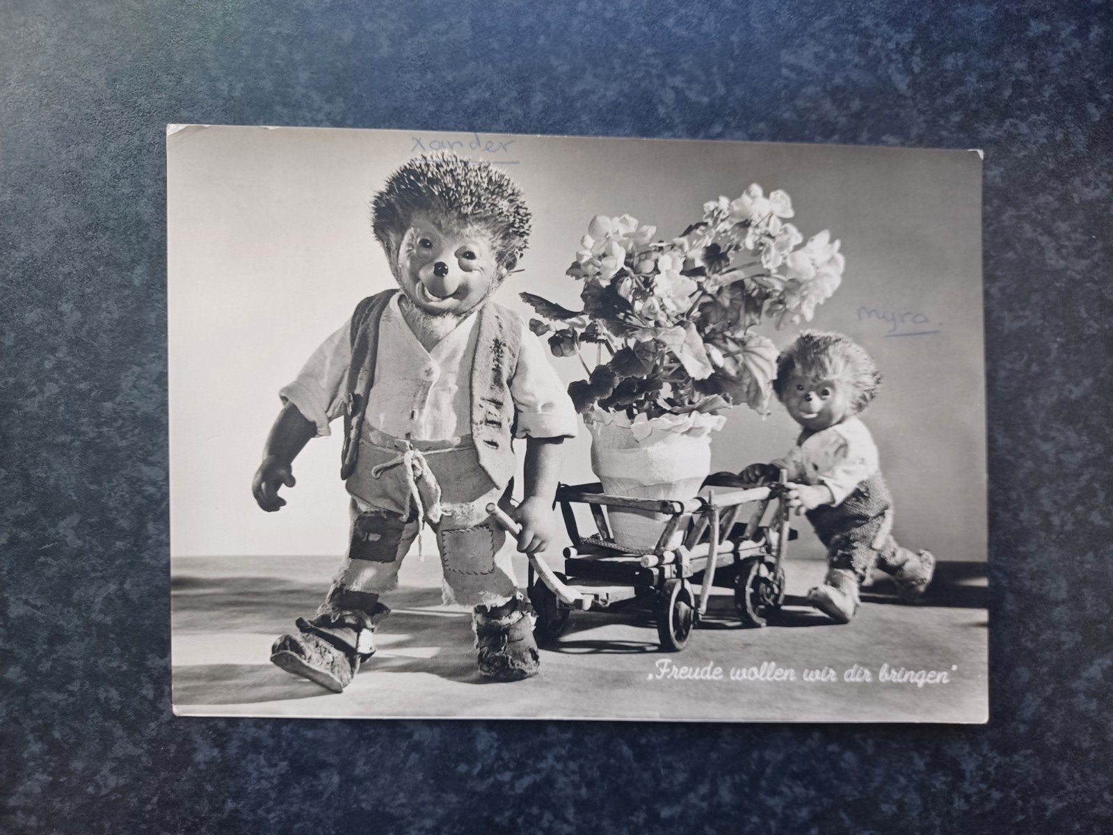 Mecki Egel, Verzamelen, Ophalen of Verzenden, 1960 tot 1980, Gelopen, Sterren en Beroemdheden