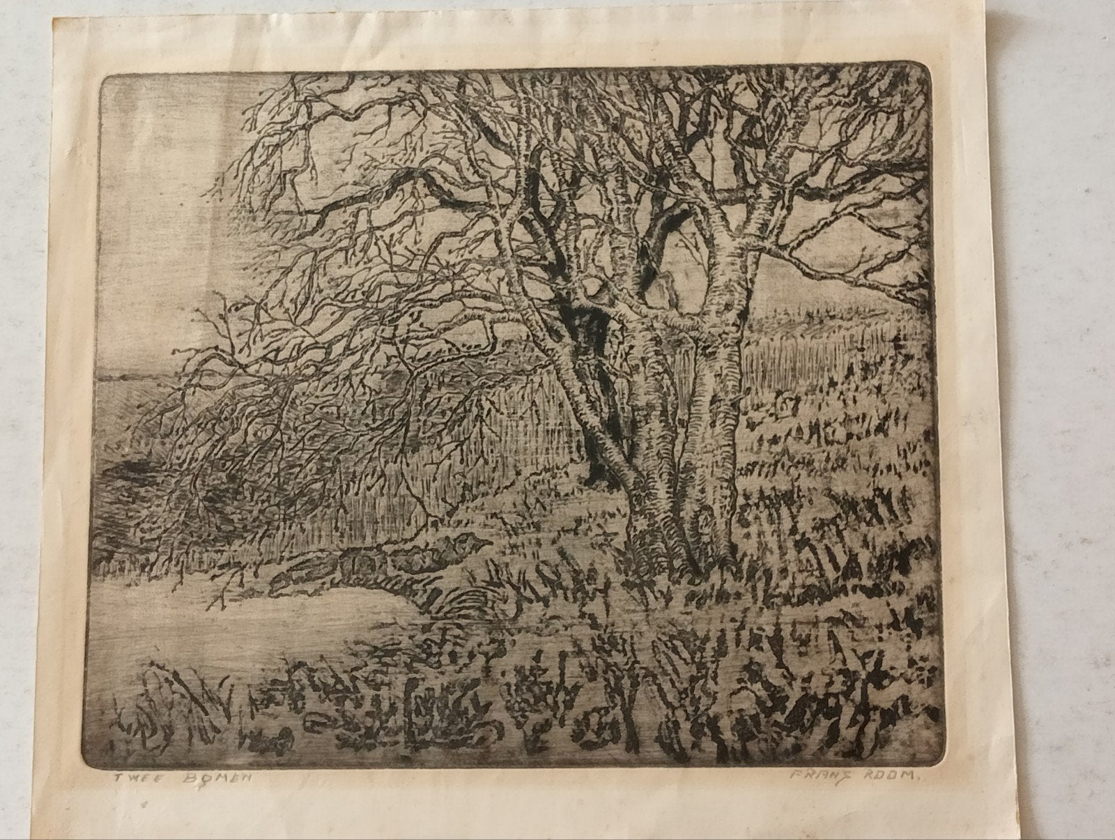Frans Room Ets 'Twee Bomen', Ophalen of Verzenden