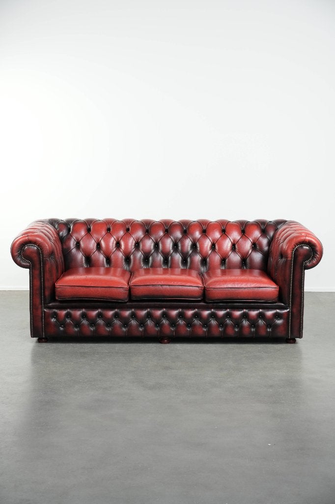 Engelse chesterfield bank gemaakt van rundleer in rode kleur, Ophalen, ., 150 tot 200 cm, Tweepersoons