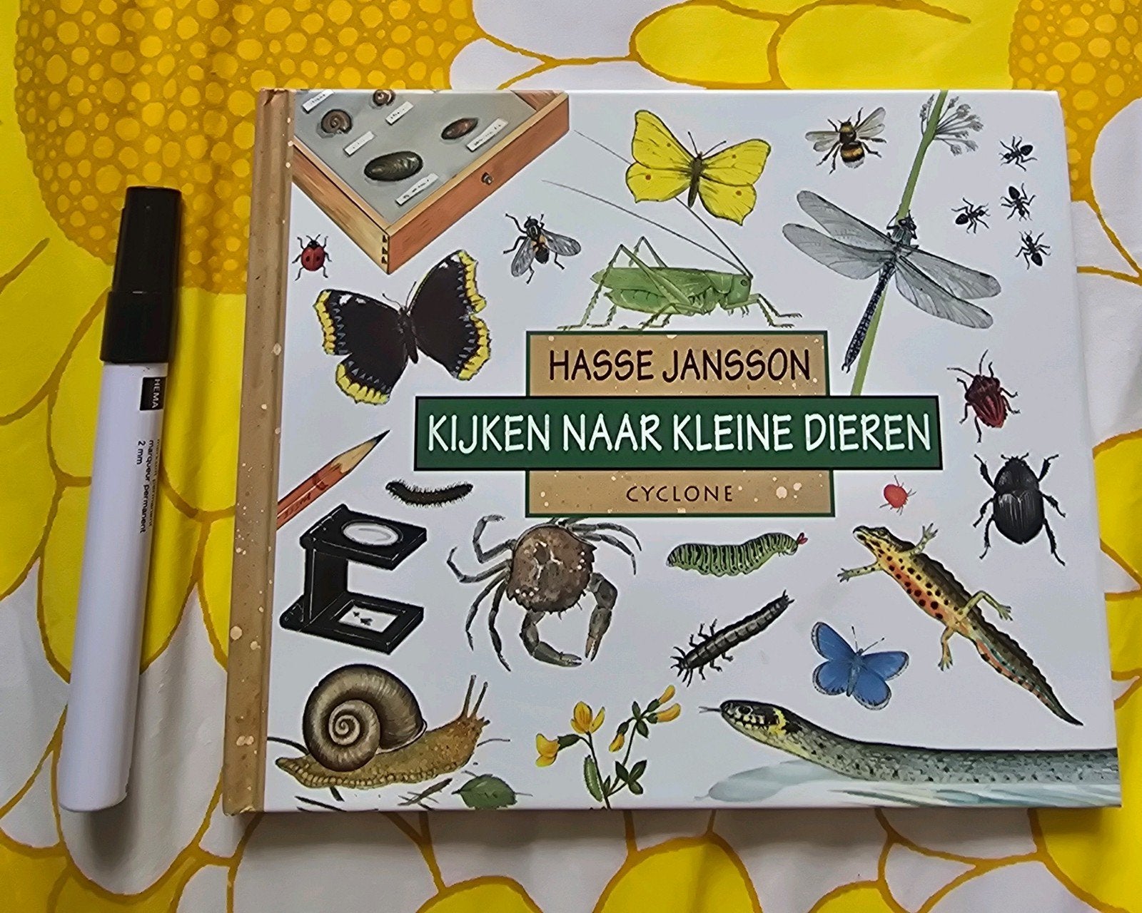 Kijken naar Kleine Dieren - Hasse Jansson, Boeken, Ophalen of Verzenden, Zo goed als nieuw, Overige onderwerpen, Hasse Jansson