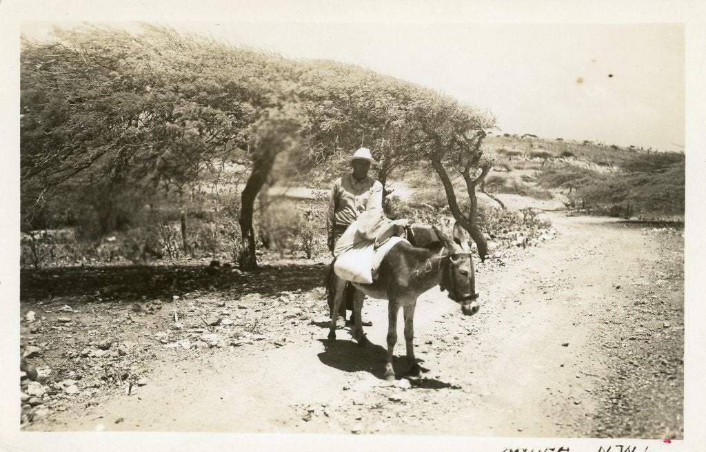 Aruba, man & ezel, 1940s, Verzamelen, Verzenden, 1940 tot 1960, Ongelopen, Buiten Europa