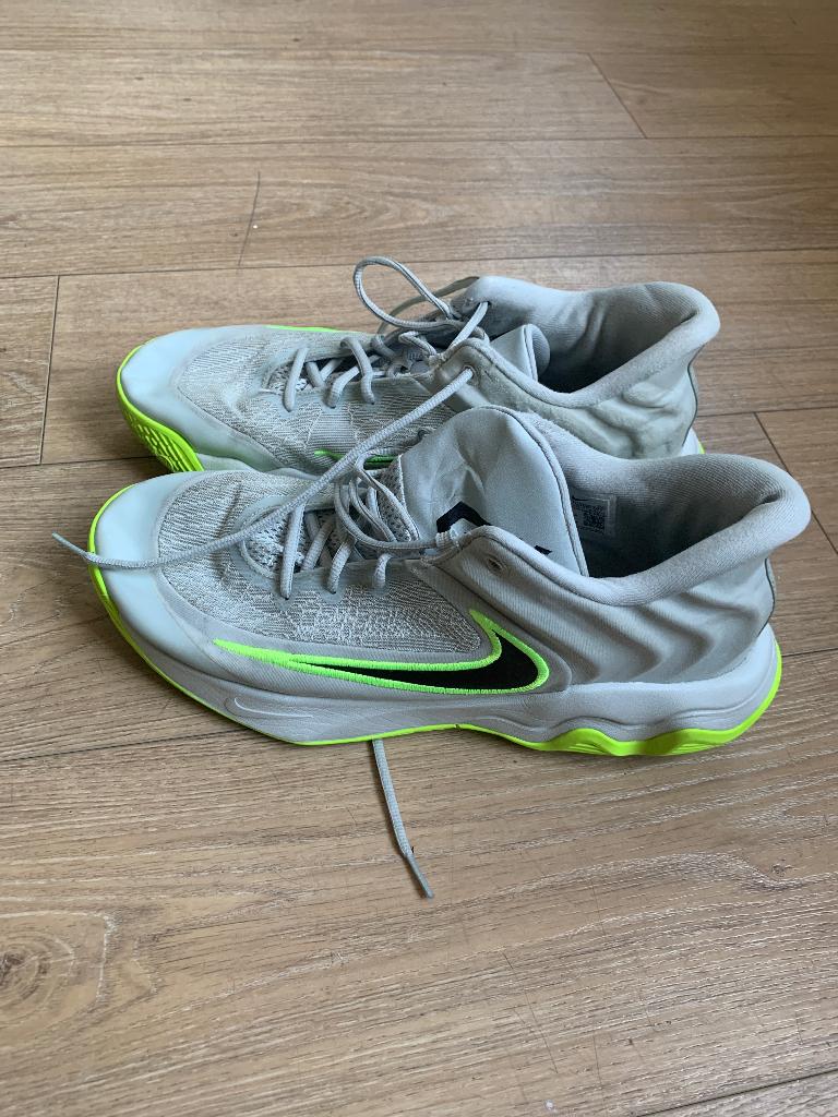 Basketbalschoenen, Overige kleuren, Sportschoenen, Nike, Ophalen of Verzenden