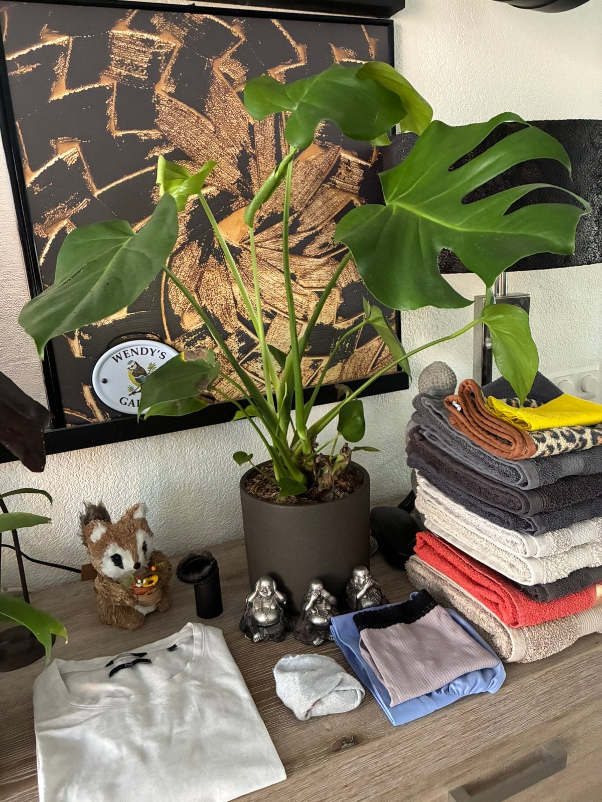 2 planten met pot, Ophalen, Overige soorten, Halfschaduw, In pot