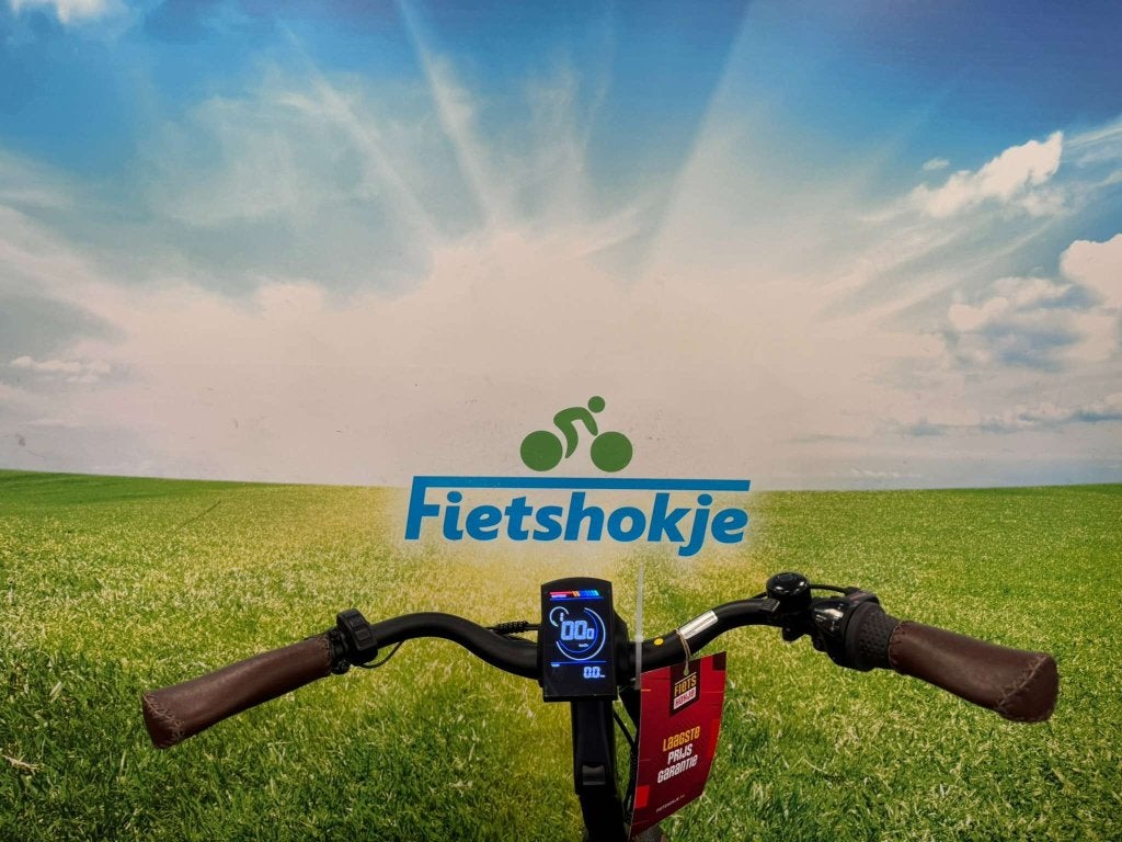 Fietshokje Amersfoort: Raaks Belton dames E-Bike N3 H51, Niet ingevuld, Nieuw, Ophalen of Verzenden, 51 tot 55 cm