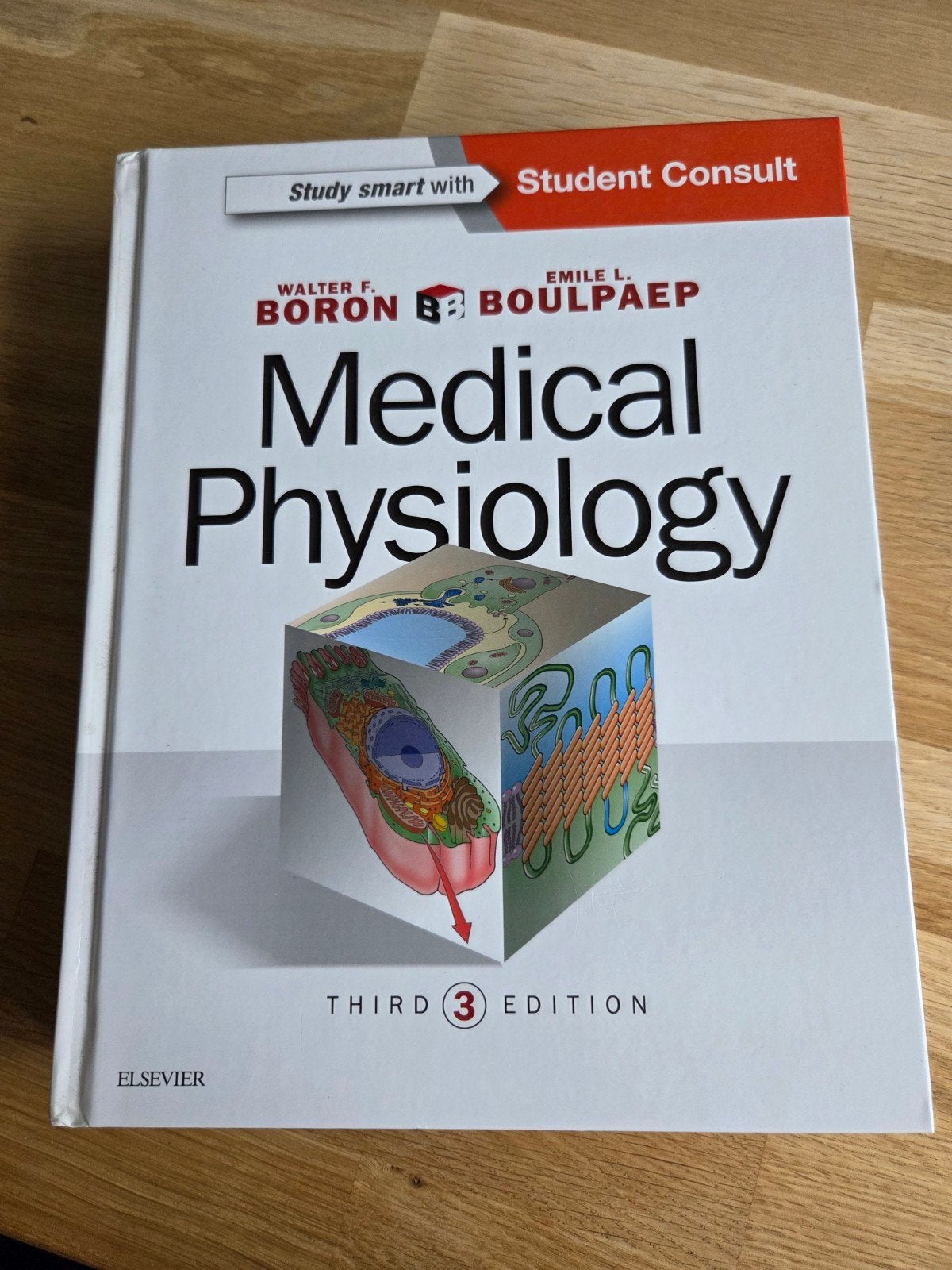 Medical Physiology, Boeken, Ophalen of Verzenden, Beta, Elsevier, WO