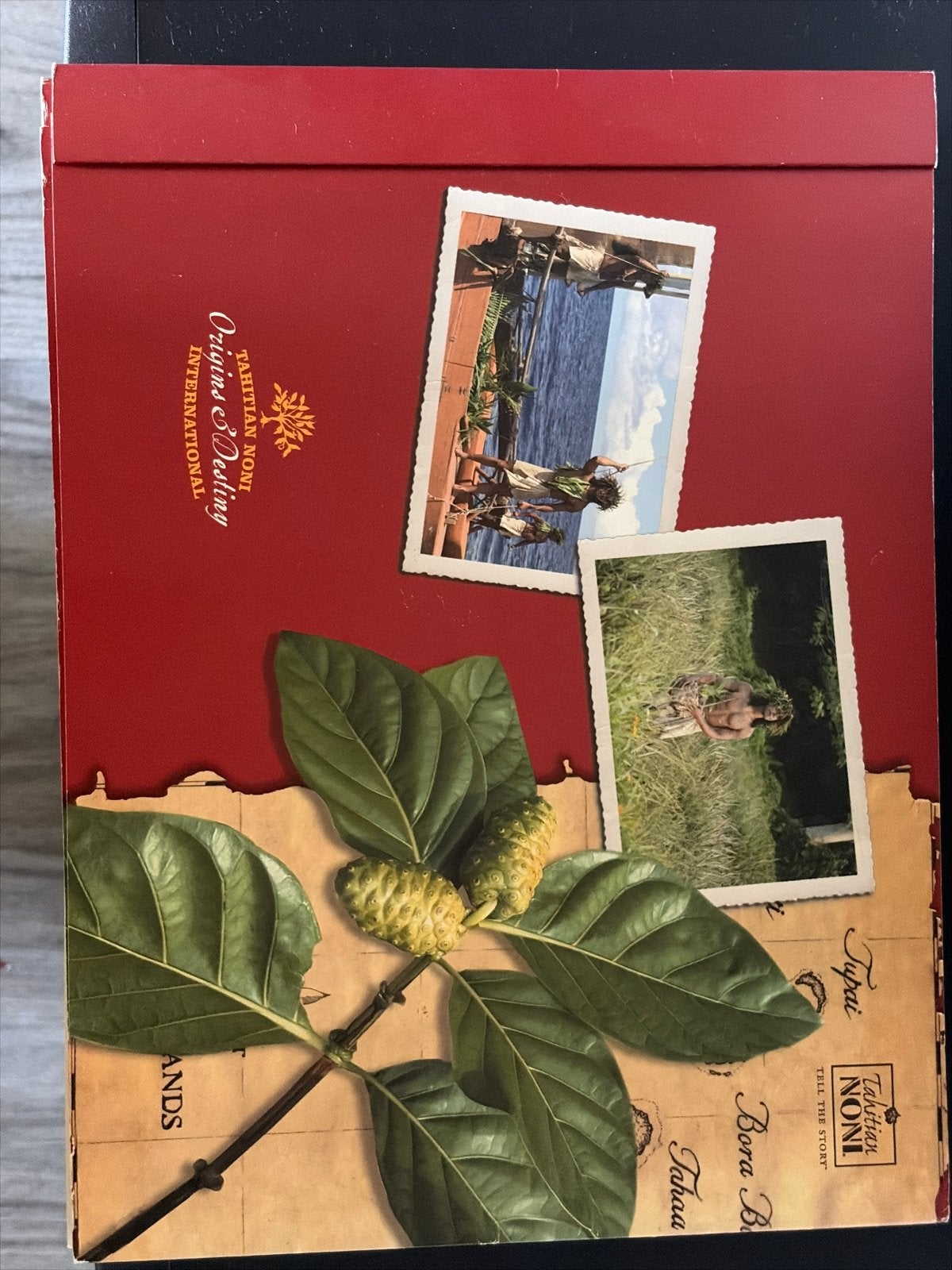 Tahitian Noni Origins & Destiny International boek, Ophalen of Verzenden, Nieuw, Overige typen