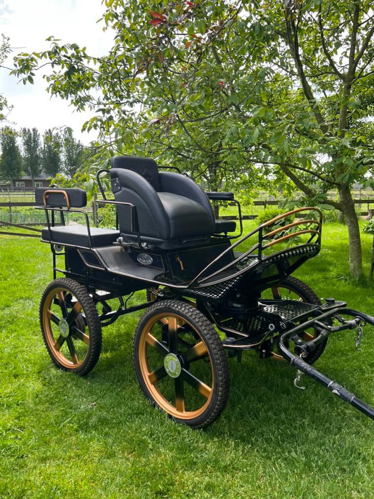 Clever Marathon recreatie menwagen enkel en tweespan, Gebruikt, Marathonwagen, Paard of Pony