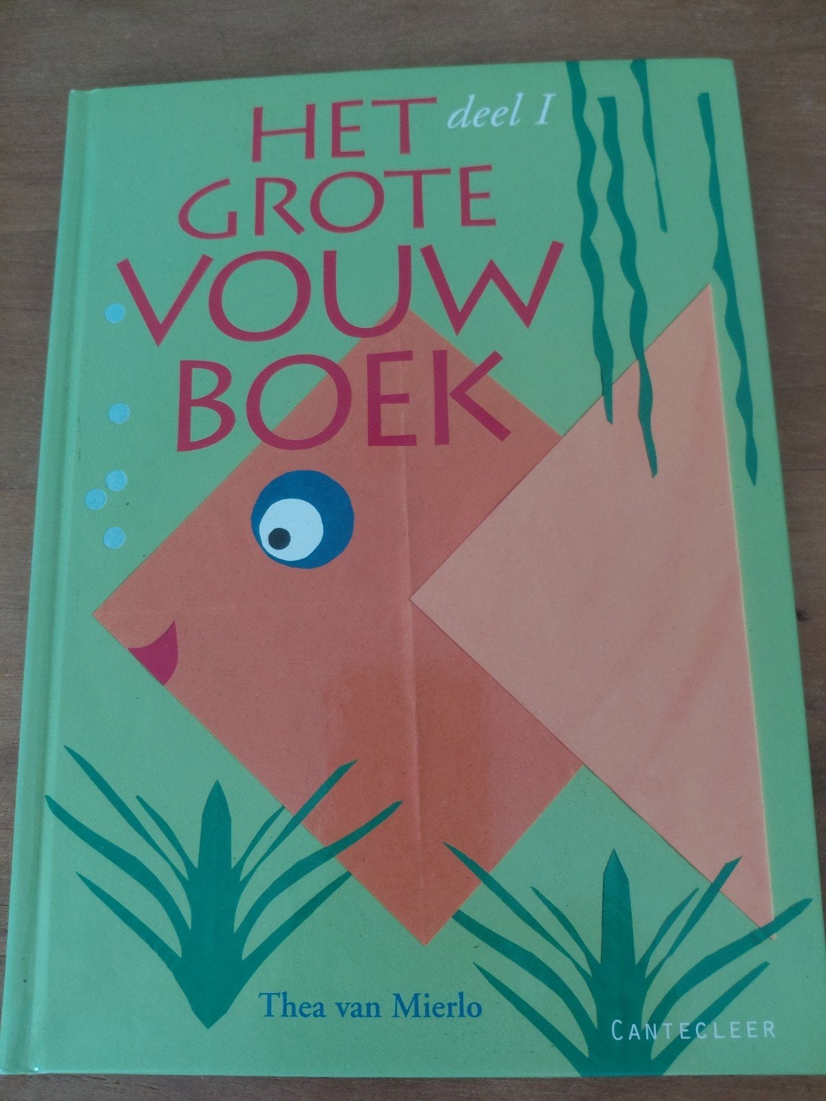 Het Grote Vouwboek deel I - Thea van Mierlo, Ophalen of Verzenden, Gelezen, Thea van Mierlo, Non-fictie