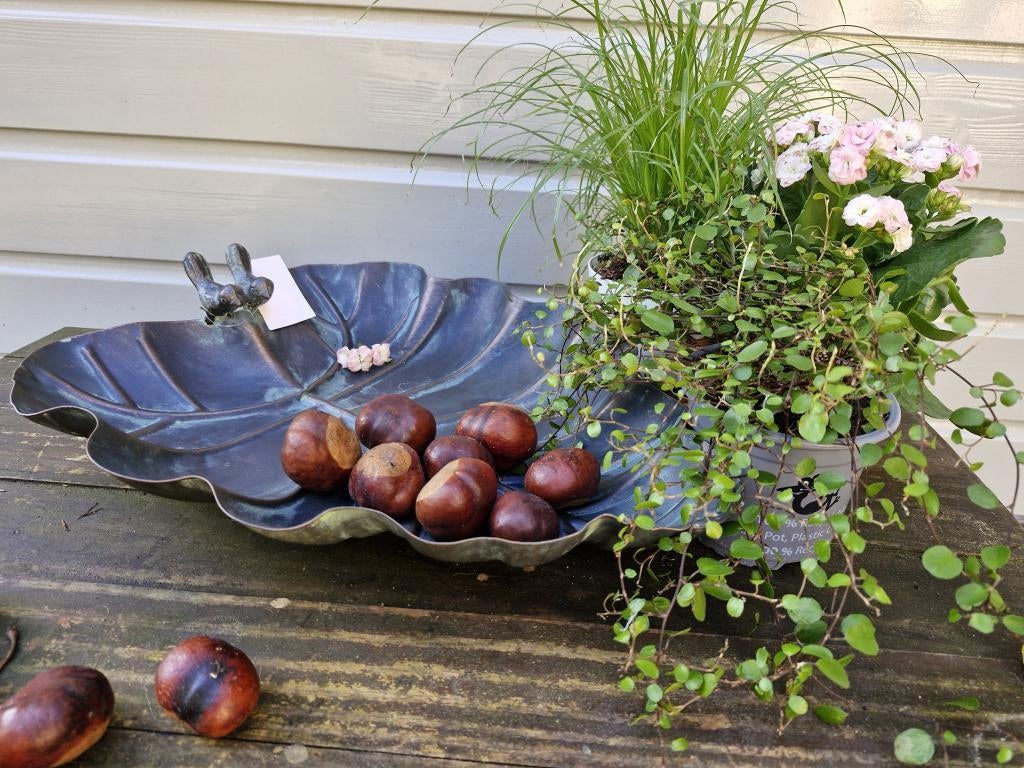 vogelbad , of schaal, Tuin en Terras, Vogelhuisjes en Vogelbaden, Ophalen of Verzenden, Atw, Atw, Nieuw