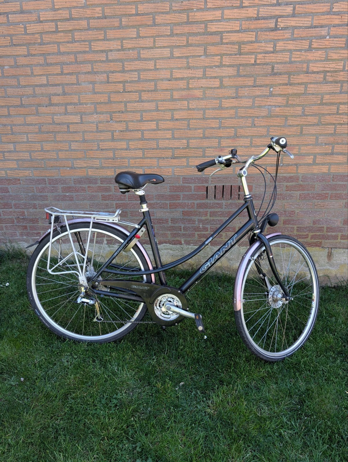 Damesfiets Giant Freerider, Fietsen en Brommers, Ophalen, Gebruikt, Giant, Versnellingen