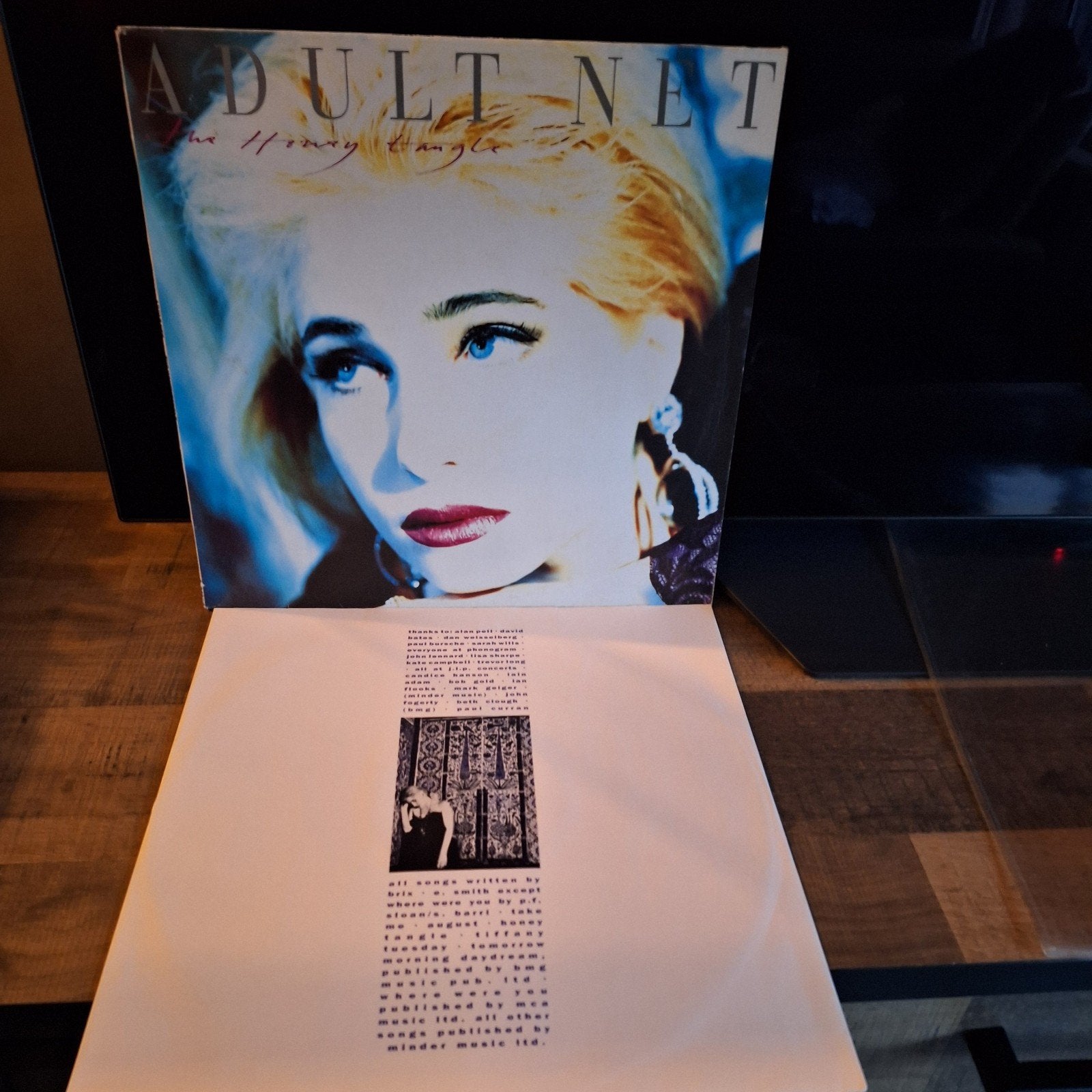 adult net  the honey tangle, LP, Gebruikt, Ophalen of Verzenden, Poprock