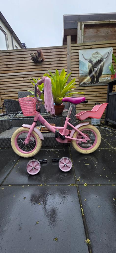 Kinderfietsje meisje, Ophalen, Terugtraprem, Zijwieltjes, Puck Nogan
