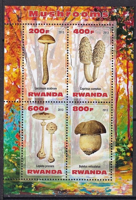 Rwanda Paddenstoelen 2013 postfris (60), Ophalen of Verzenden, Postfris, Dier of Natuur