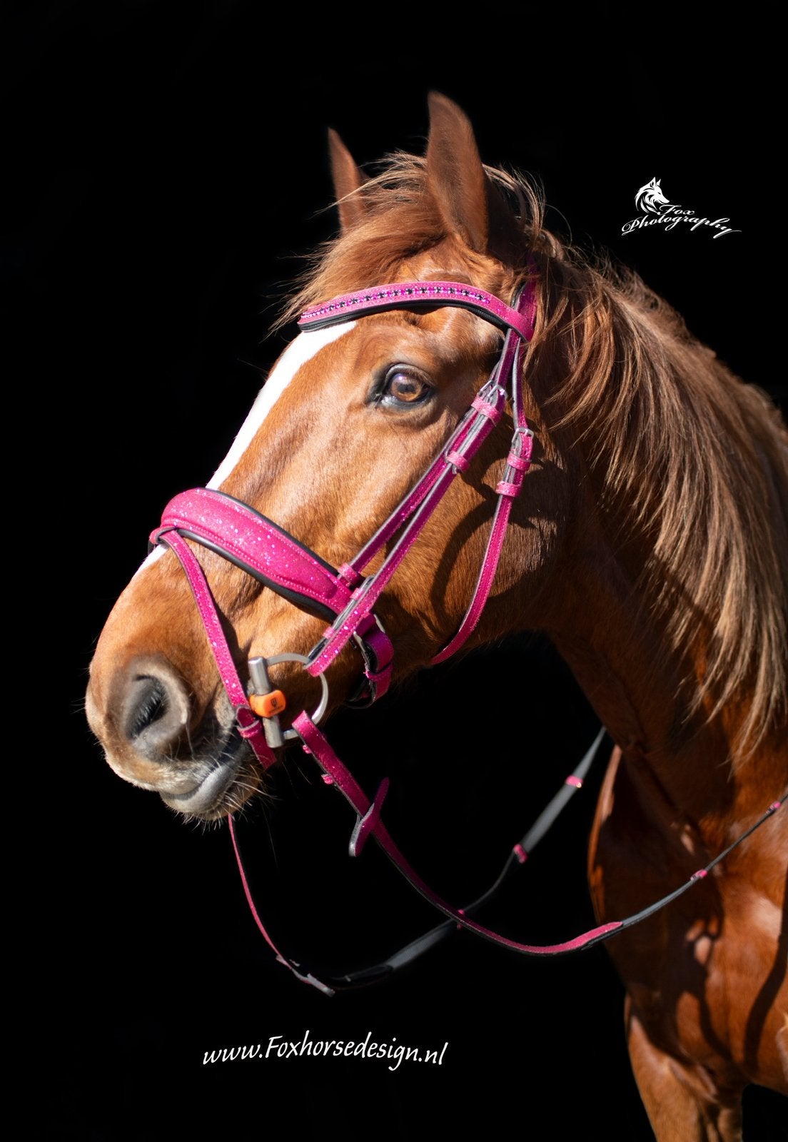 Nieuw! Glitter hoofdstel fuschia div maten, Dieren en Toebehoren, Ophalen of Verzenden, Nieuw, Hoofdstel