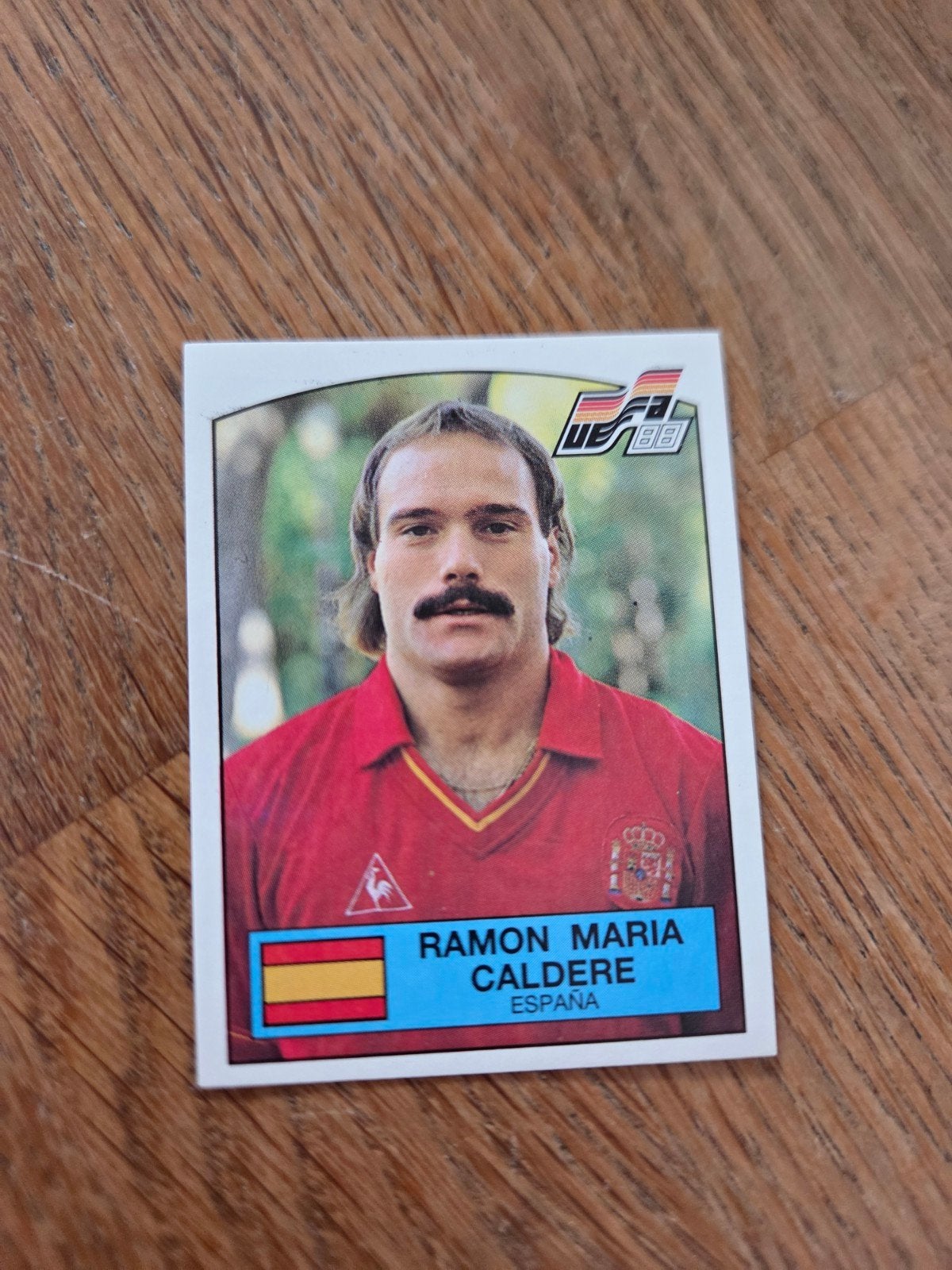 Panini EK 88, Ophalen of Verzenden, Zo goed als nieuw, Sticker