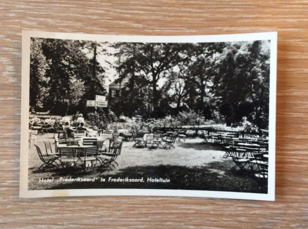 Frederiksoord, Hotel Frederiksoord, Hoteltuin, Verzamelen, Ansichtkaarten | Nederland, Ophalen of Verzenden, 1940 tot 1960, Gelopen