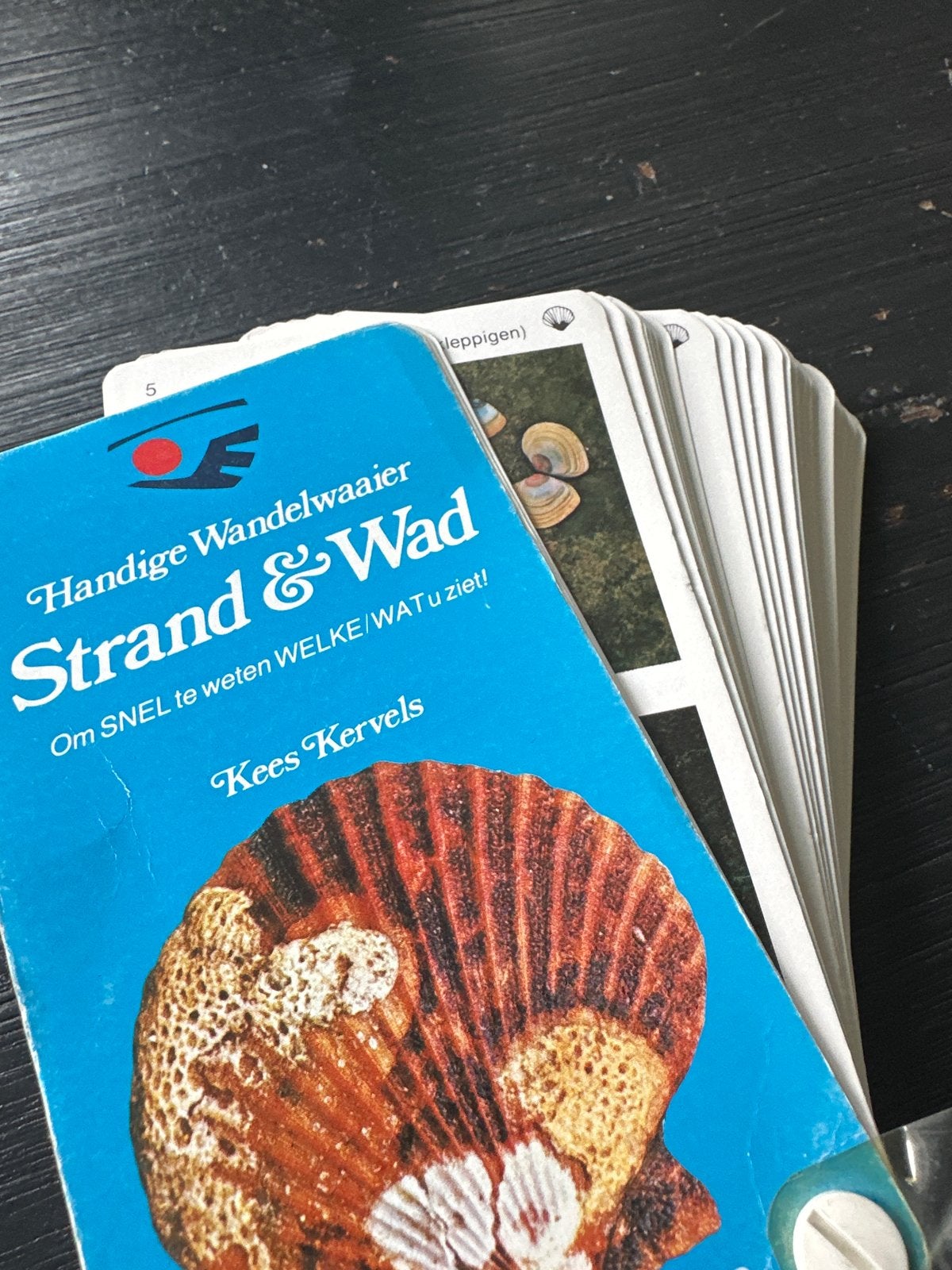 Handige Wandelwaaier Strand & Wad - Kees Kervels, Boeken, Natuur, Ophalen of Verzenden, Gelezen, Natuur algemeen
