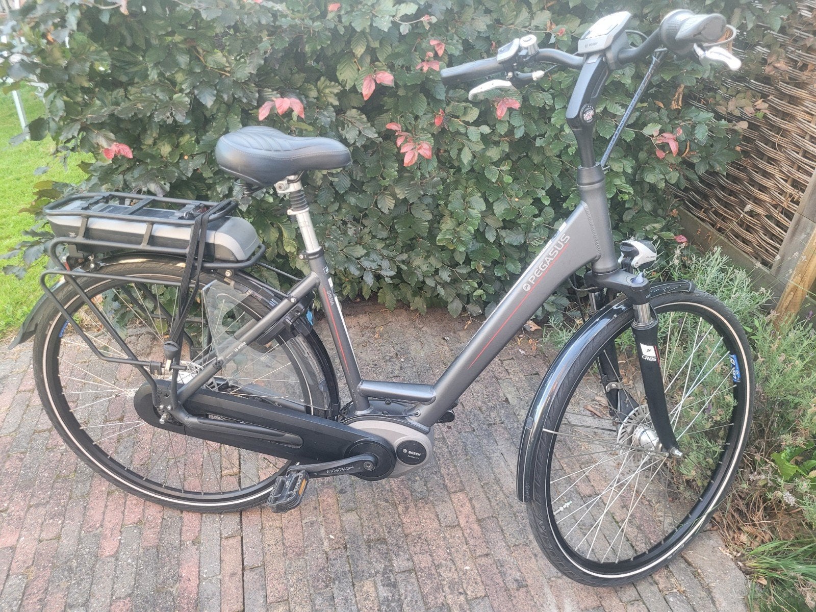 Pegasus Siena E7F elektrische fiets - Bosch Active Line, Gebruikt, 47 tot 51 cm, 50 km per accu of meer, Ophalen