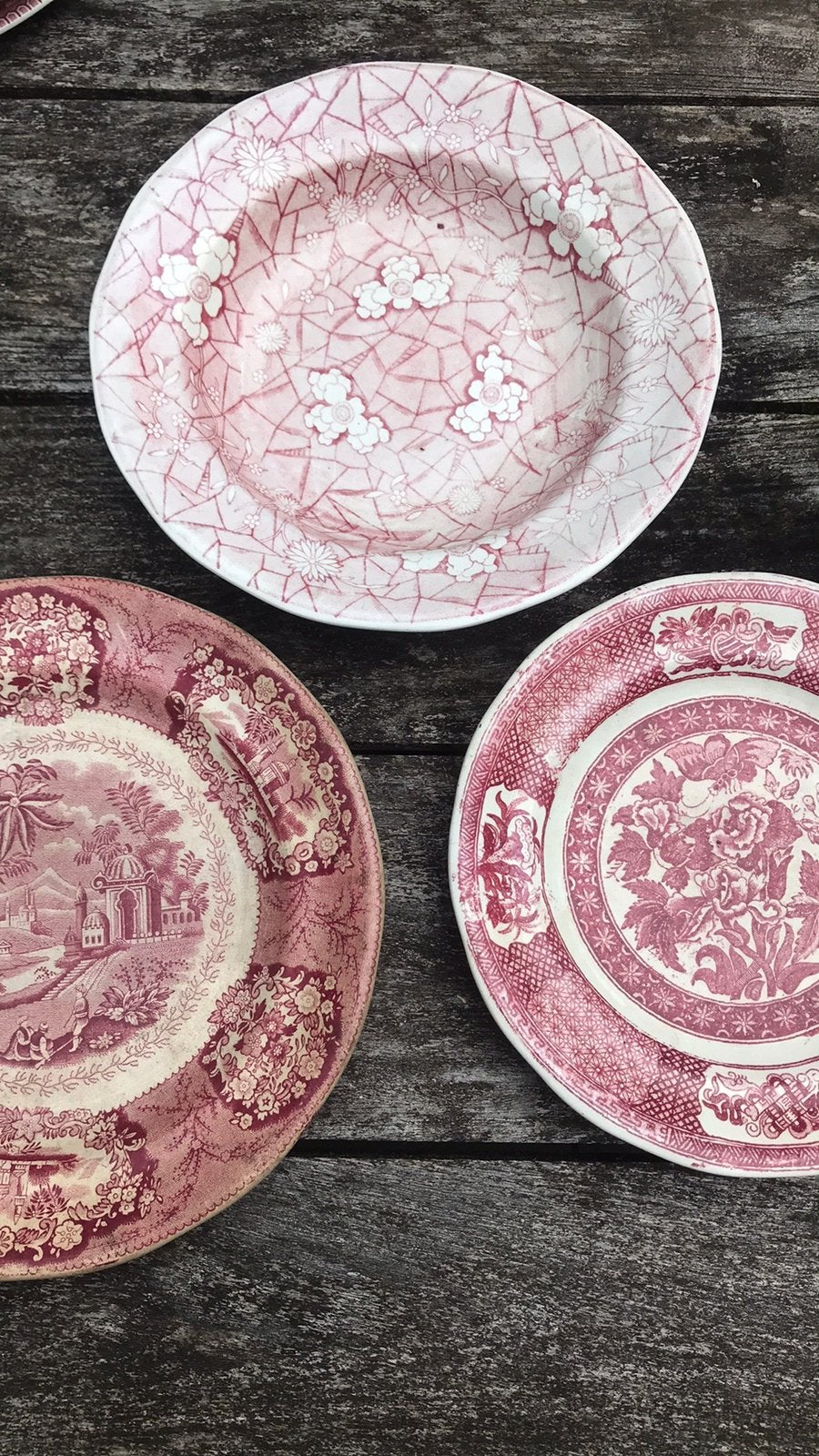 Drie antieke Petrus Regout borden rood/roze, Ophalen of Verzenden