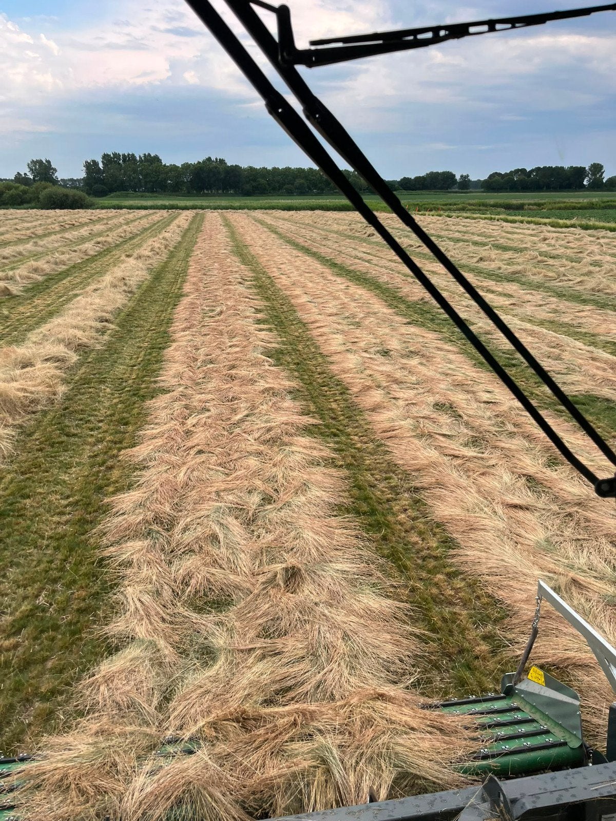 Graszaad hooi met analyse laag in suiker, Dieren en Toebehoren, Ophalen of Verzenden, Vee