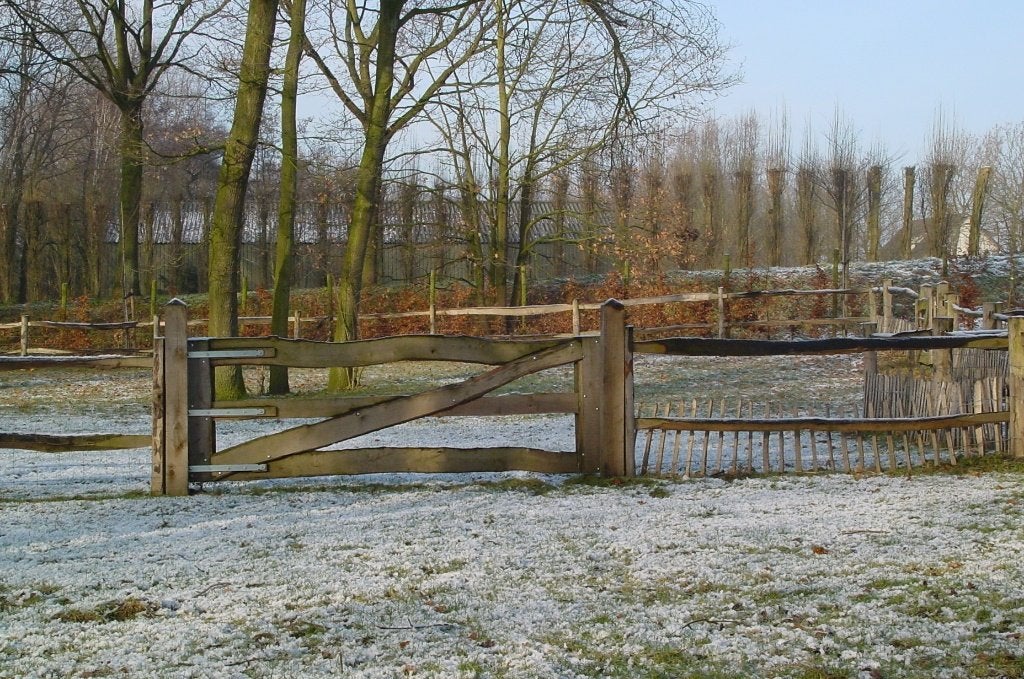 Gratis inmeting en offerte bij Eiken en Hardhouten poorten!, Nieuw, Ophalen of Verzenden, 150 tot 200 cm, Hout