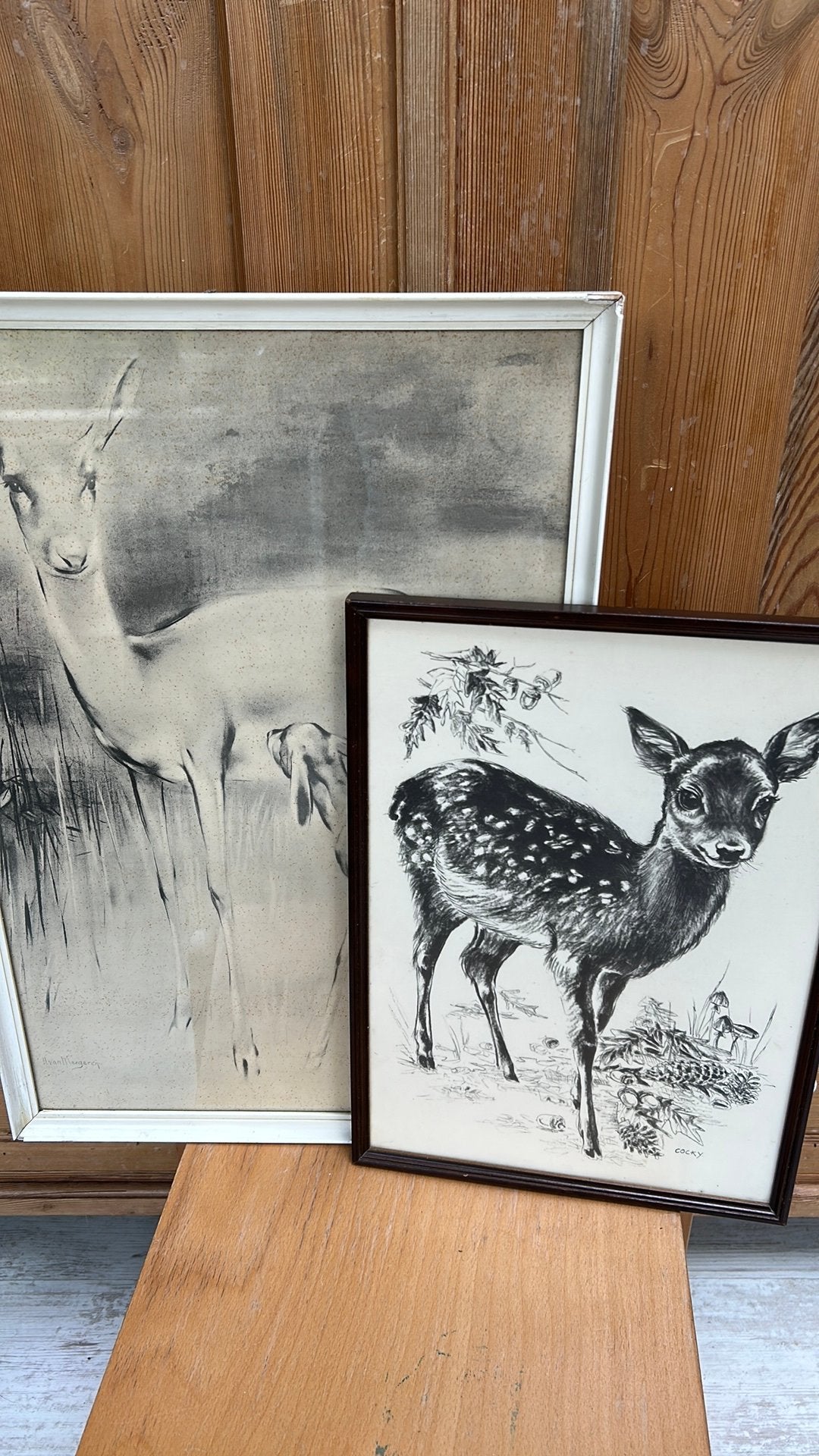 Set van 2 Vintage Herten Prints - Bambi en Moederhert, Antiek en Kunst, Ophalen
