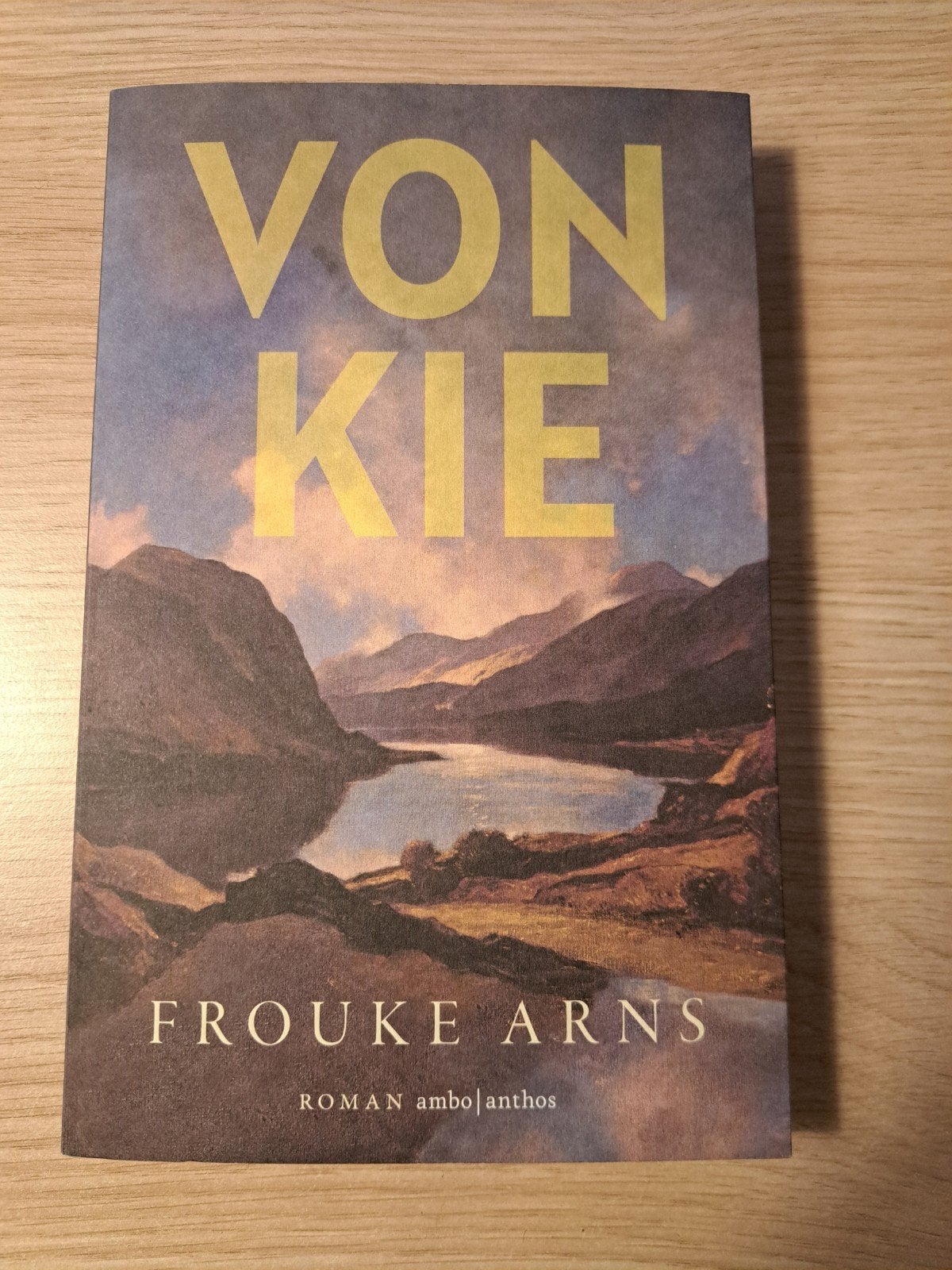 Vonkie - Frouke Arns (roman uit 2025)), Ophalen of Verzenden, Zo goed als nieuw, Frouke Arns, Nederland
