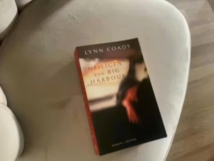 Heiligen van Big Harbour - Lynn Coady (Roman), Gelezen, Wereld overig, Lynn Coady, Ophalen of Verzenden