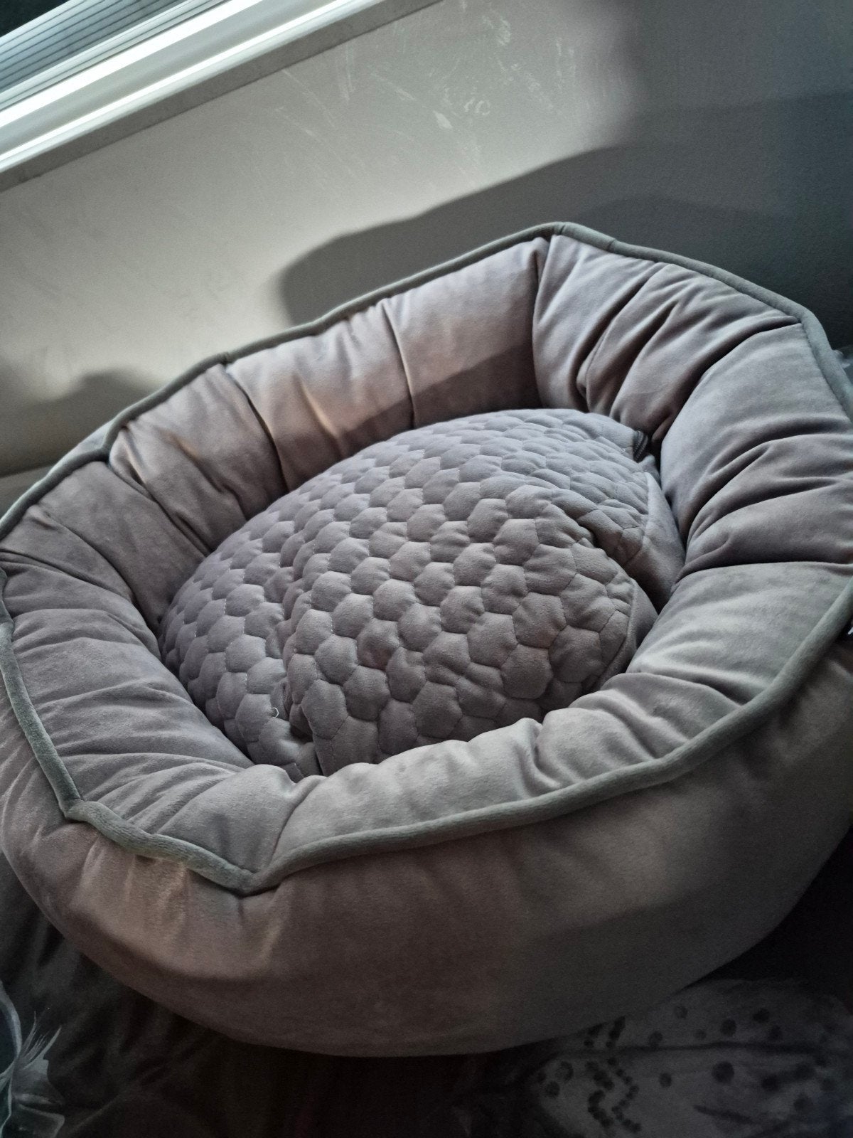 Nieuw hondenmandje Taupevaste pr €15euro, Verzenden, Nieuw