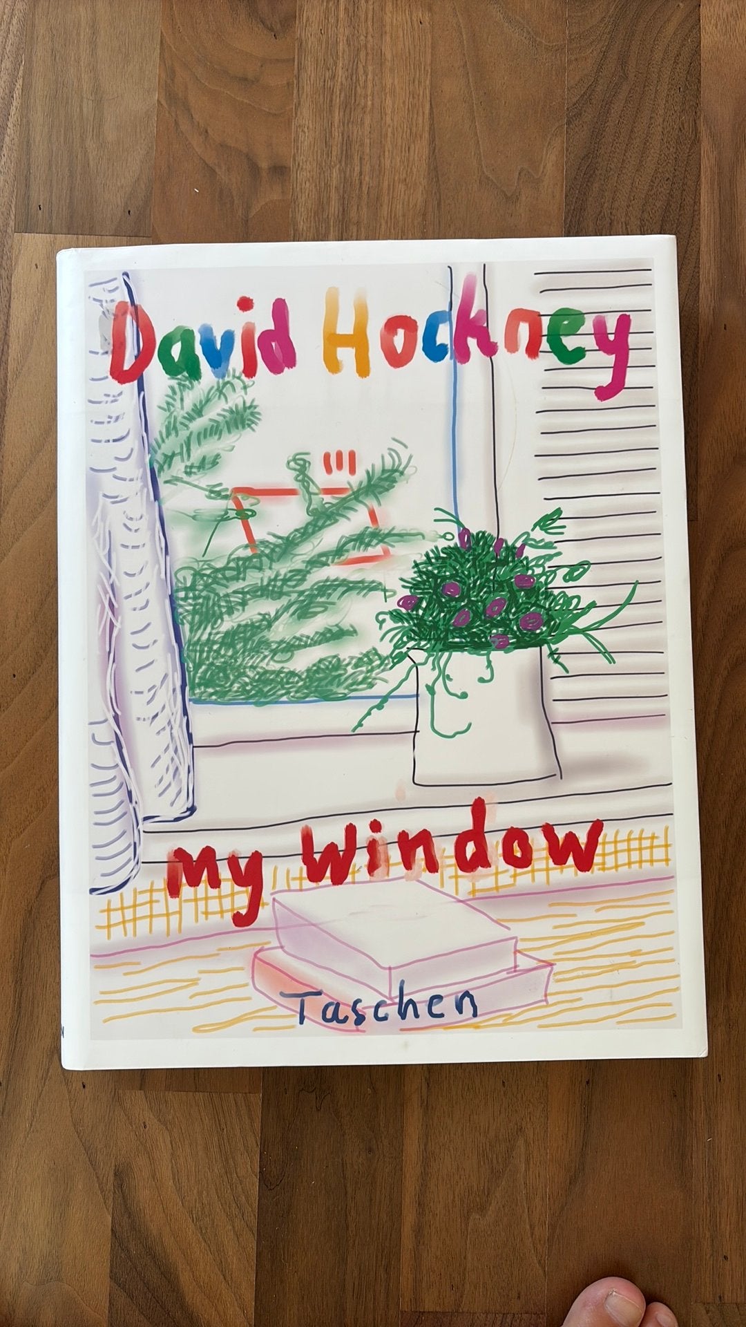 David Hockney My Window, Ophalen of Verzenden, Zo goed als nieuw