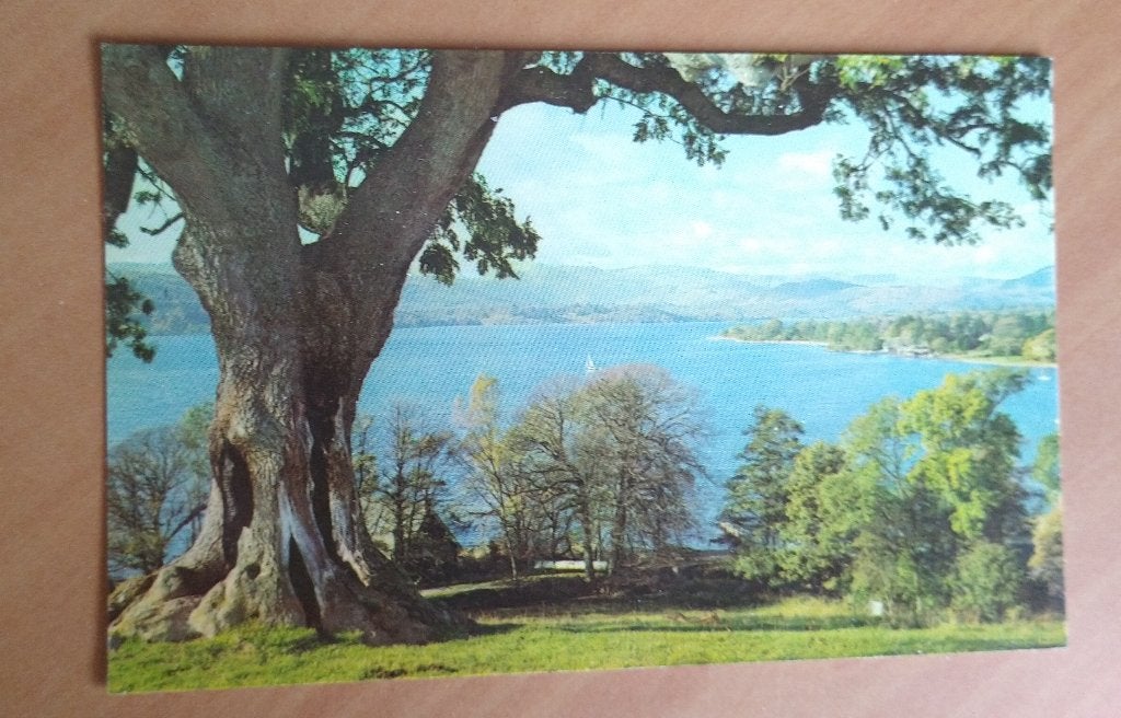 ansichtkaart The English Lakes - Lake Windermere, Ophalen of Verzenden, 1980 tot heden, Buiten Europa