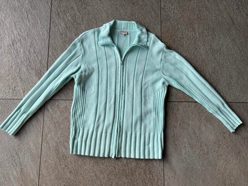 Mooi mint groen vest camelot maat xl, Kleding | Dames, Ophalen of Verzenden, Zo goed als nieuw, Maat 46/48 (XL) of groter, Groen