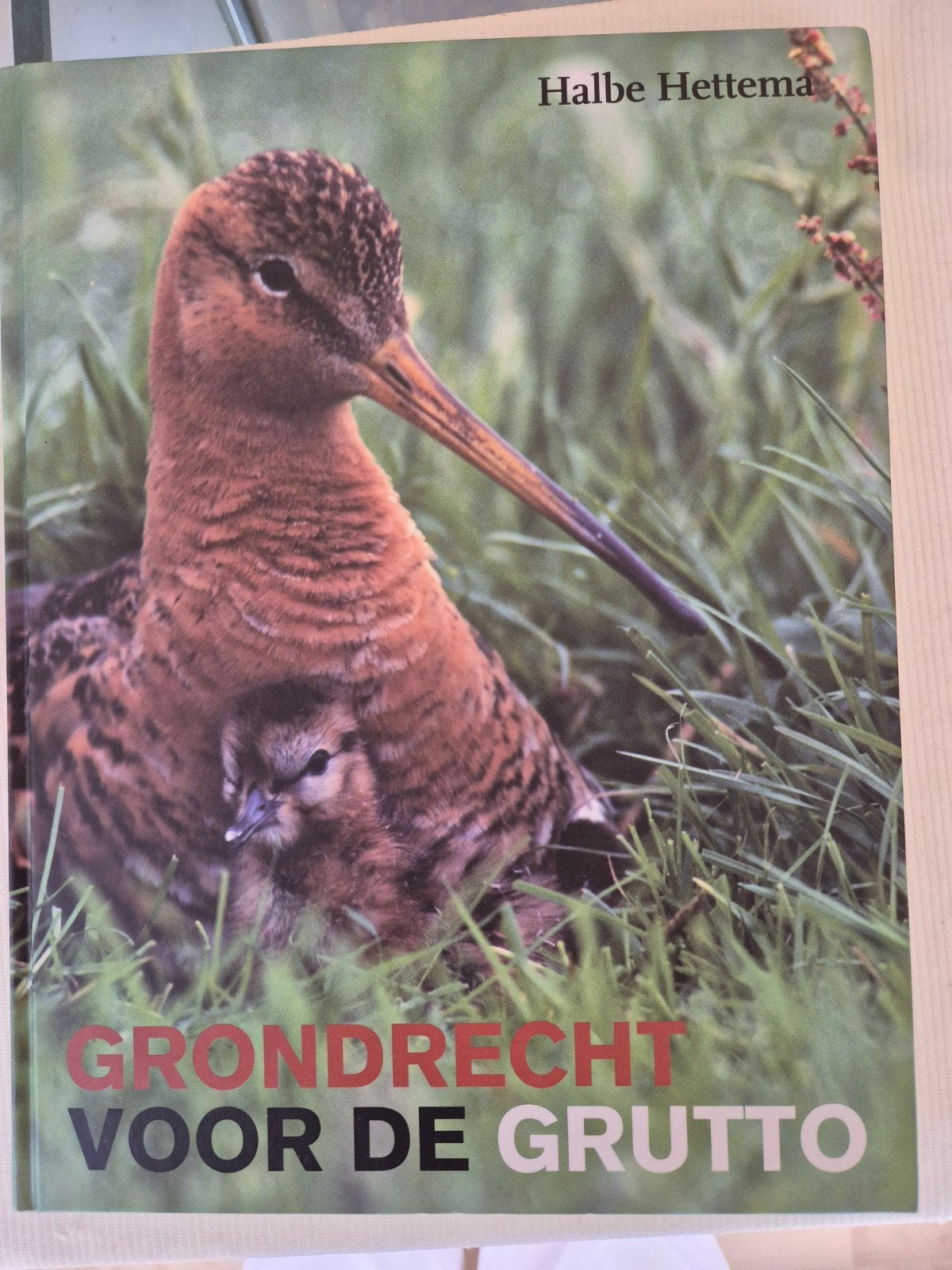 Grondrecht voor de GRUTTO, Halbe Hettema, Ophalen of Verzenden, Zo goed als nieuw, Bloemen, Planten en Bomen