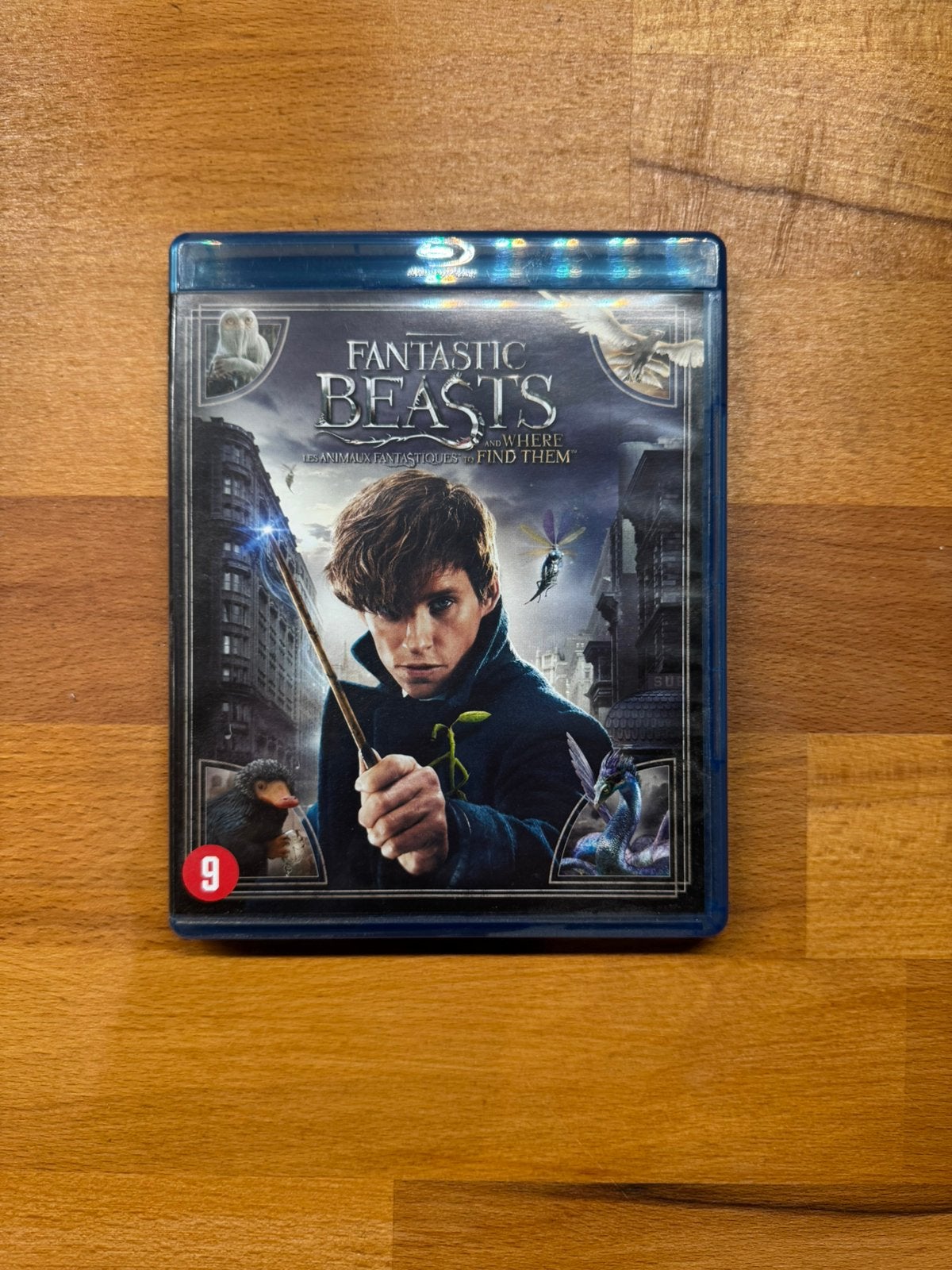 Fantastic Beast Blue Ray DVD, Alle leeftijden, Ophalen of Verzenden, Zo goed als nieuw