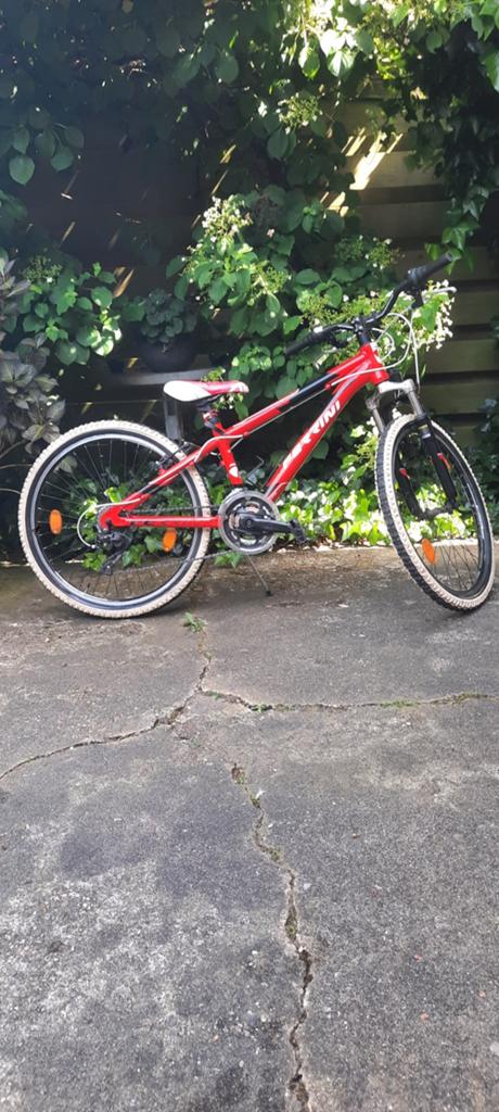Stoere fiets, Minder dan 47 cm, Ophalen of Verzenden, Gebruikt, Staal