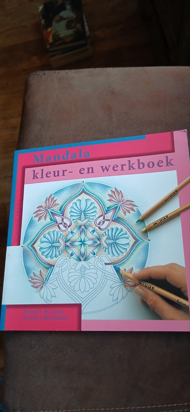 Hanneke de Jong - Mandala kleur- en werkboek, Boeken, Ophalen, Nieuw, Hanneke de Jong