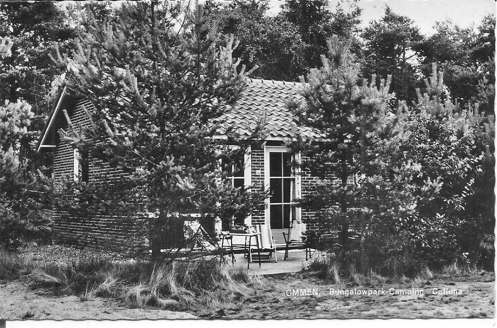 Oude ansichtkaart Bungalowpark-Camping Calluna Ommen, Ophalen of Verzenden, 1960 tot 1980, Gelopen, Overijssel